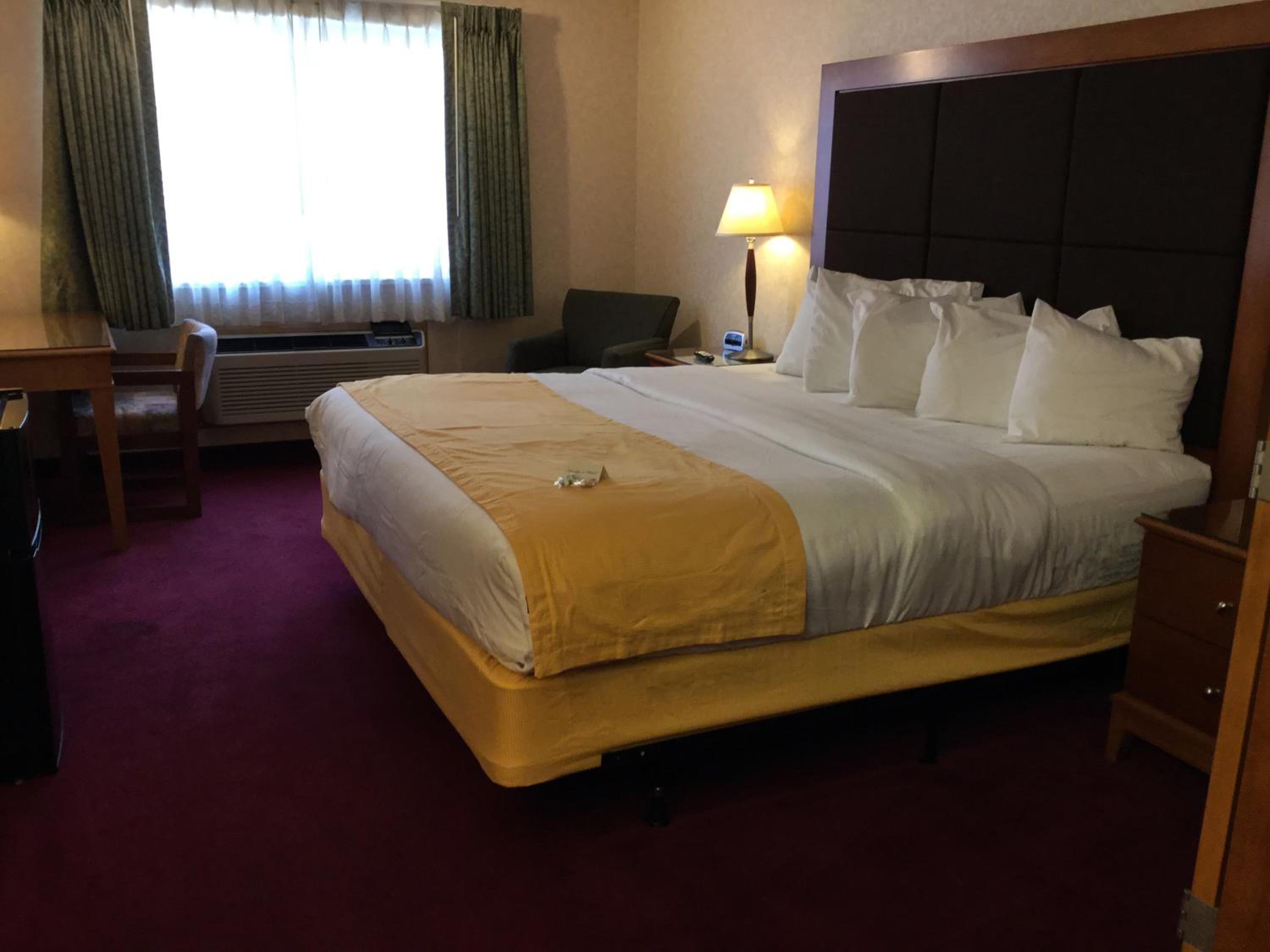 King Room - Photo 1