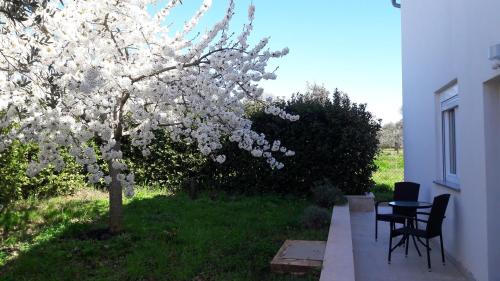 Apartment with Garden View photo 2