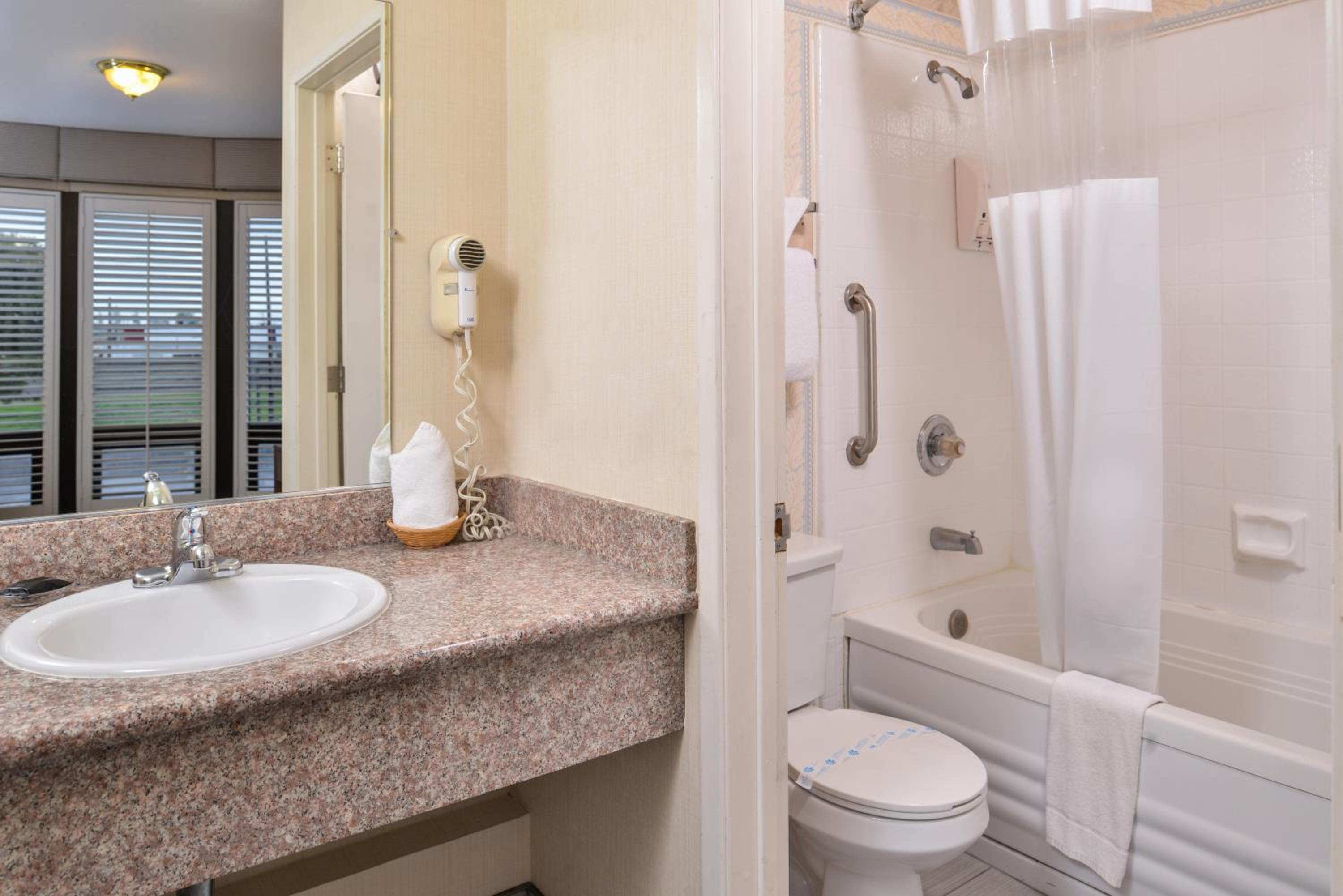 Deluxe Suite photo 2