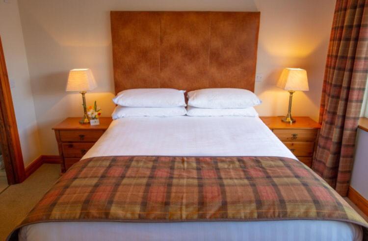 King Room photo 1