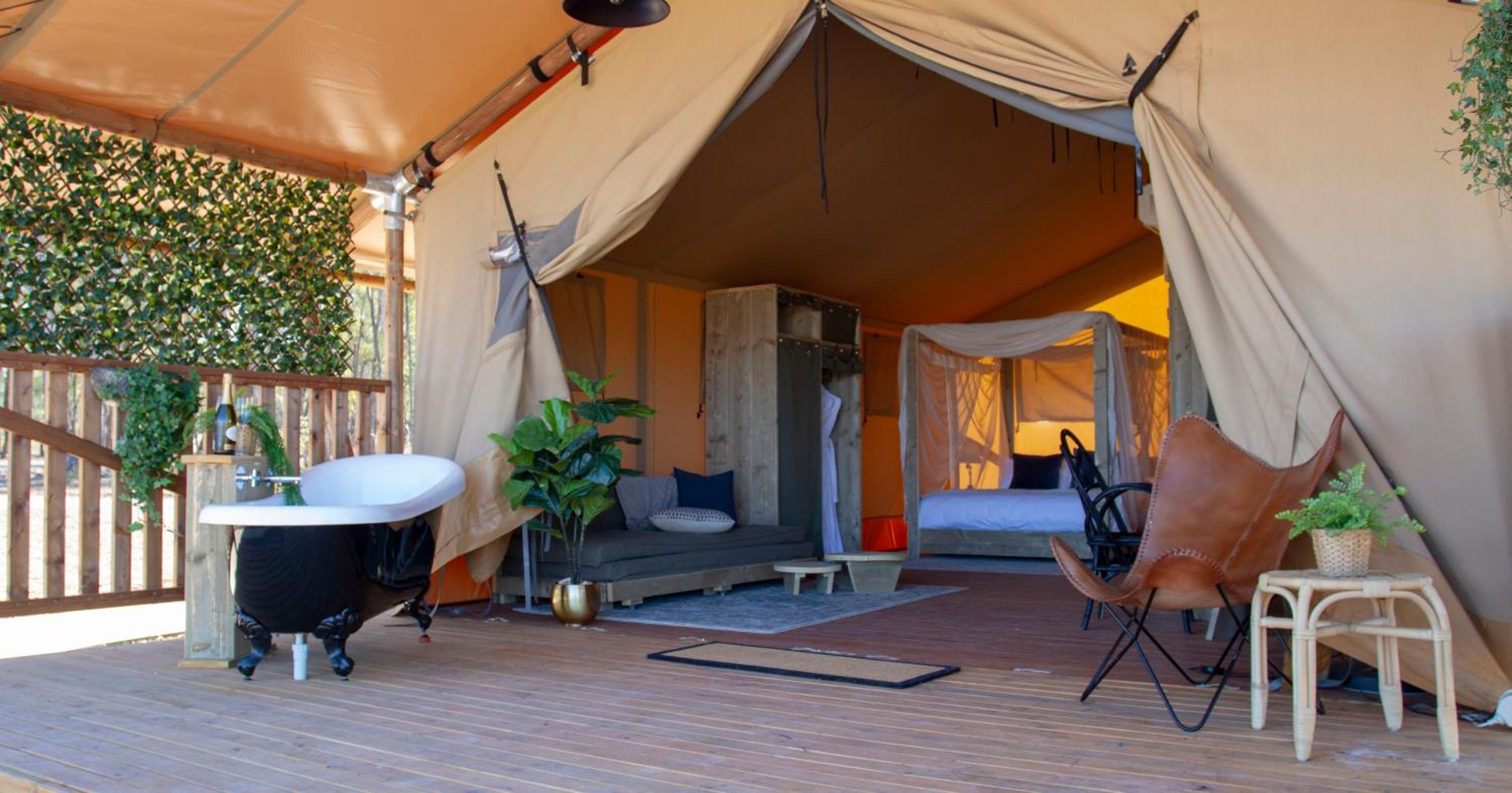 Tent Safari photo 1