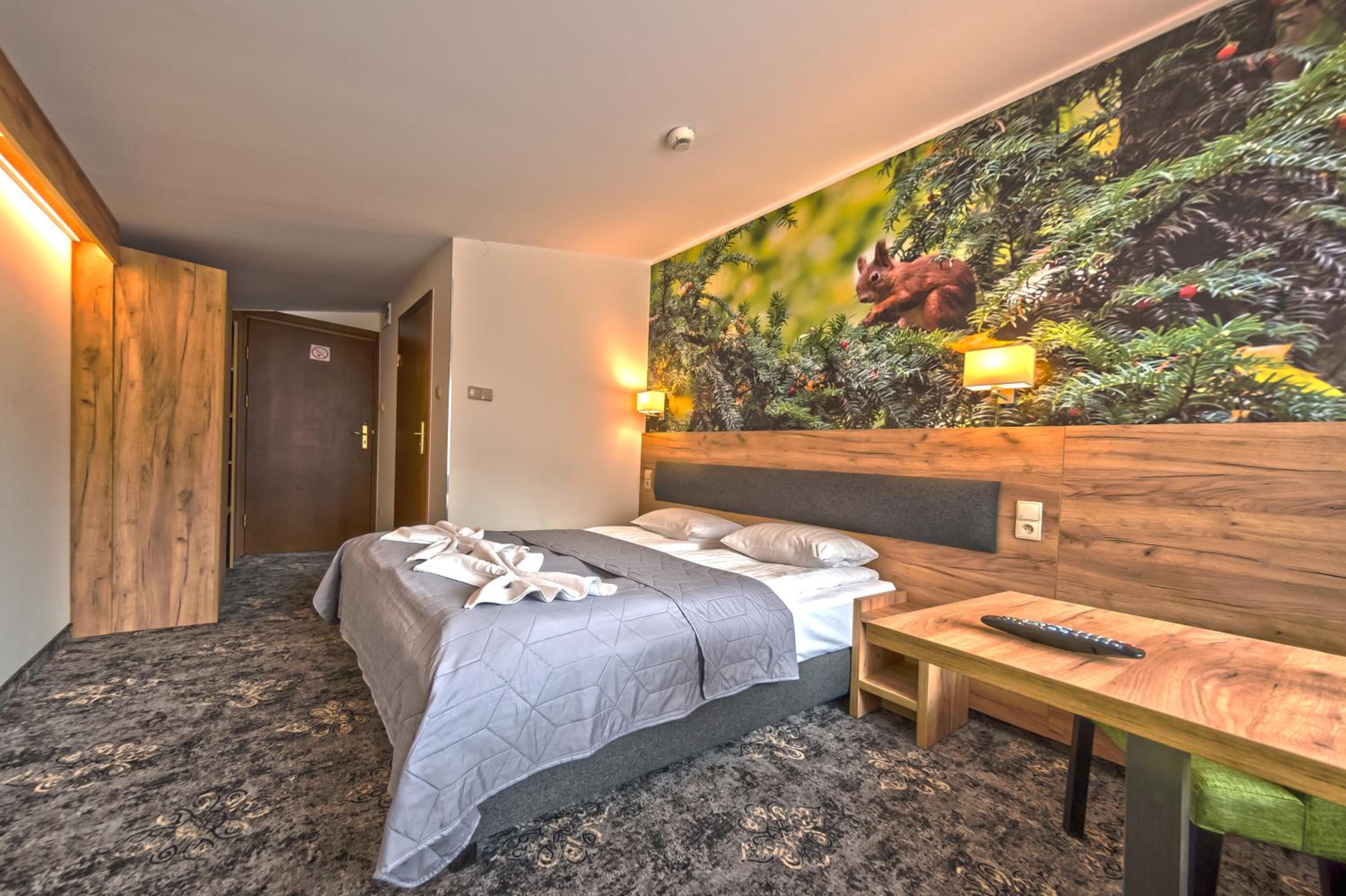 Single Room photo 2