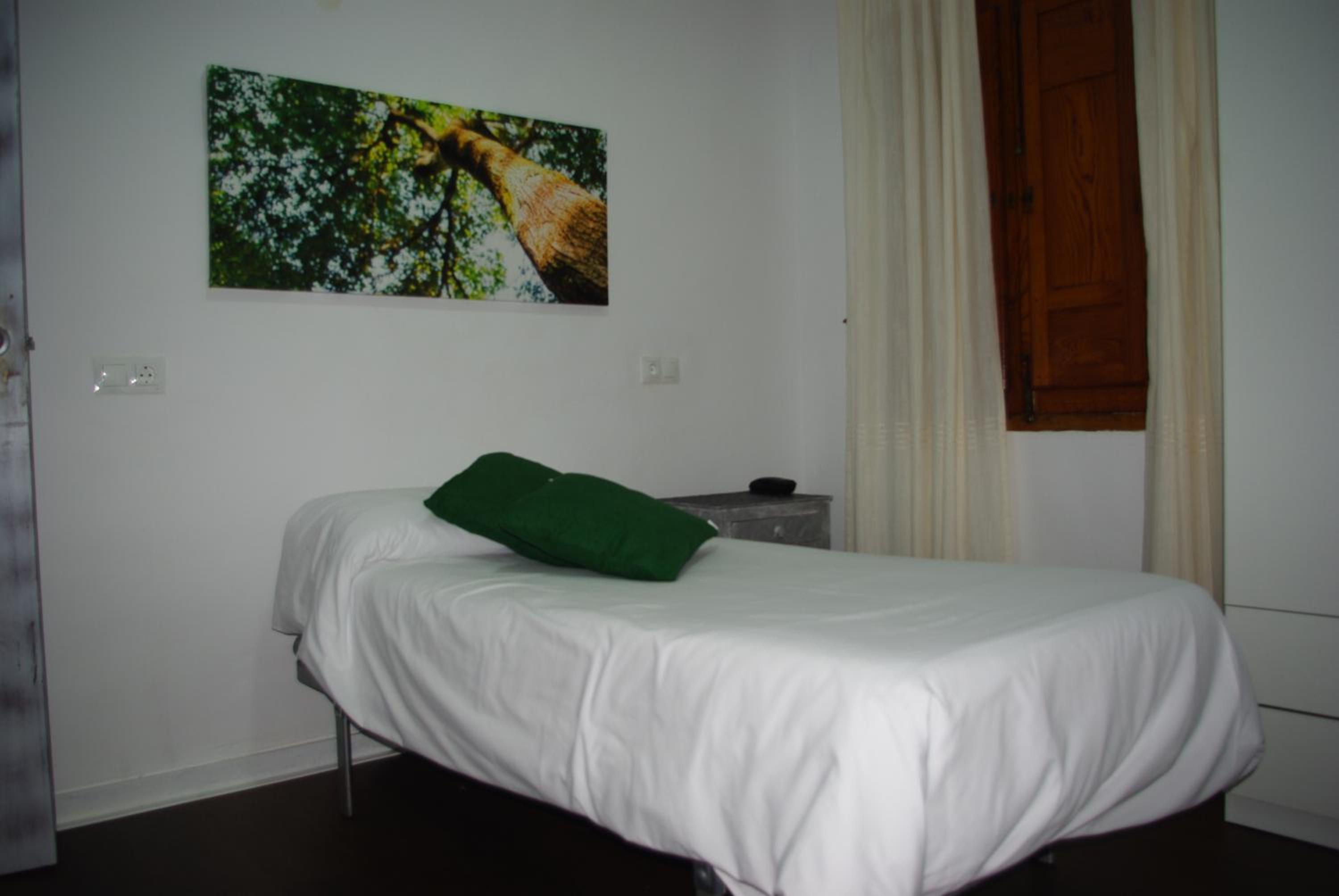Standard Single Room - No pets photo 2