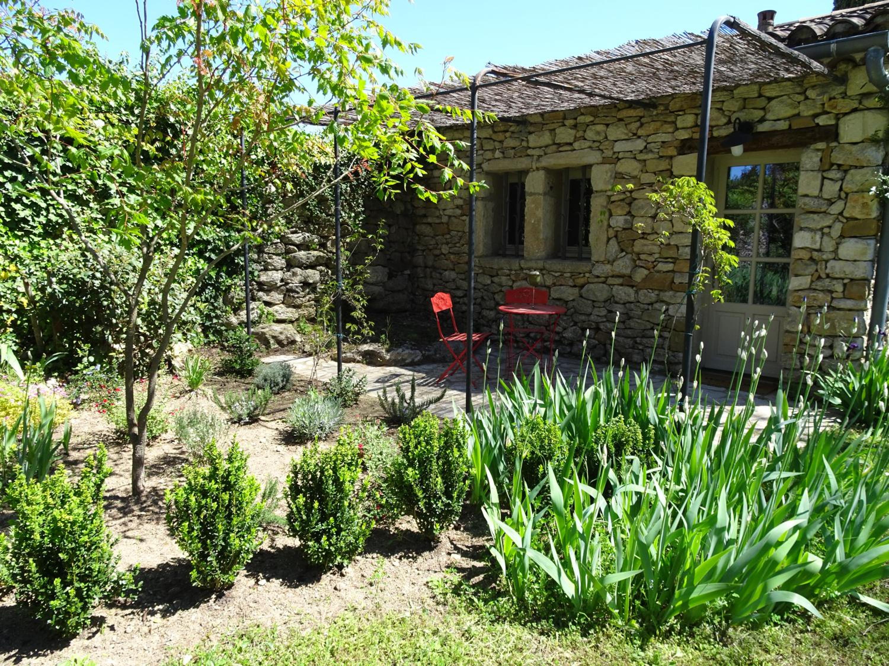 Studio with Garden View photo 2