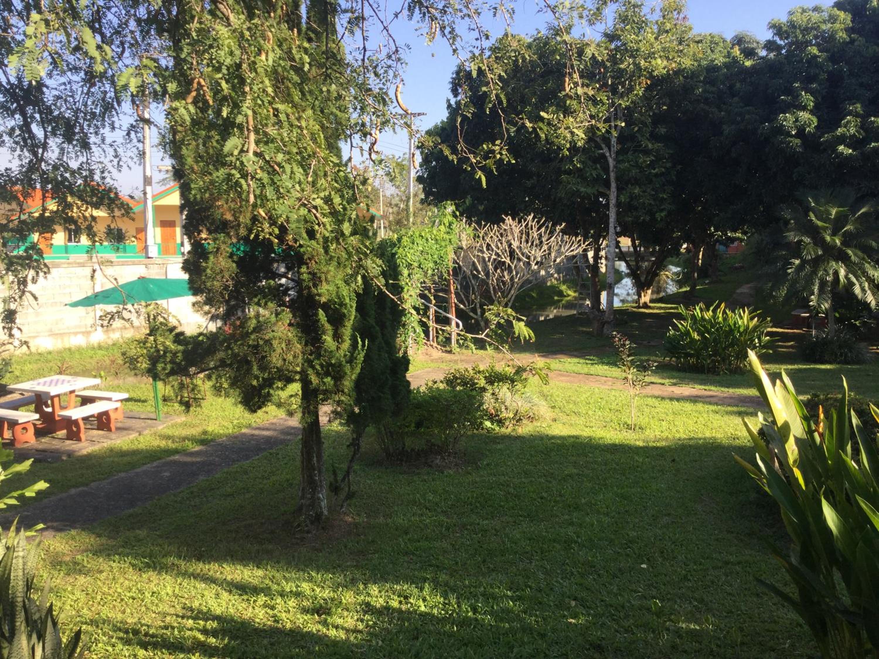 Double Room with Garden View photo 3