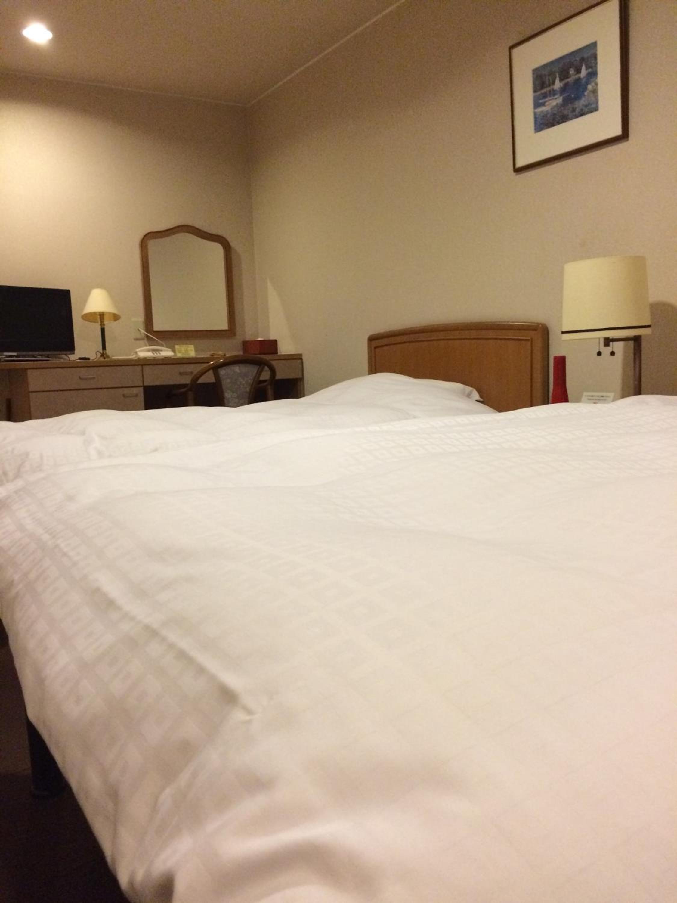 Twin Room photo 2