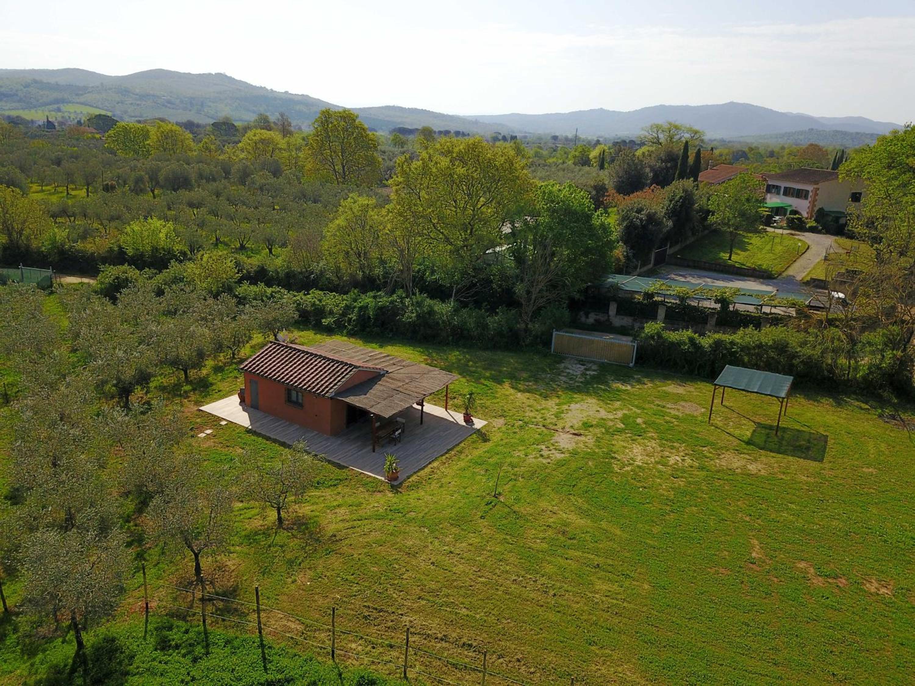 Studio with Garden View photo 3