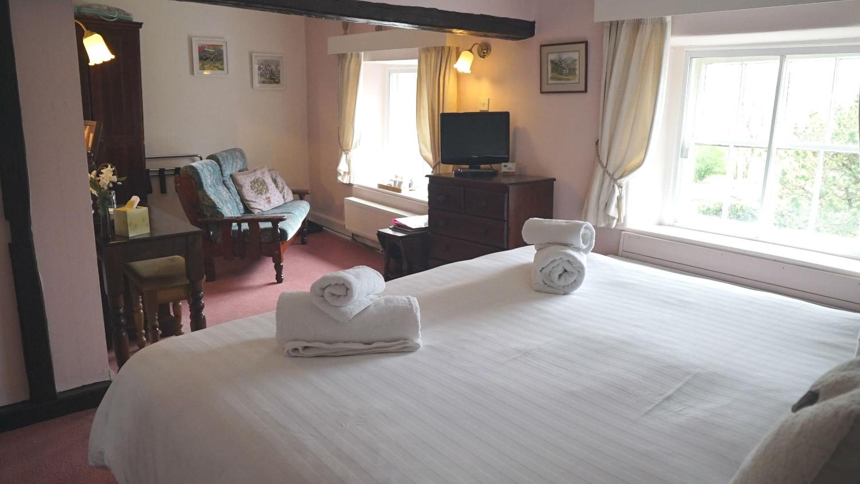 Deluxe Double or Twin Room with Mountain View