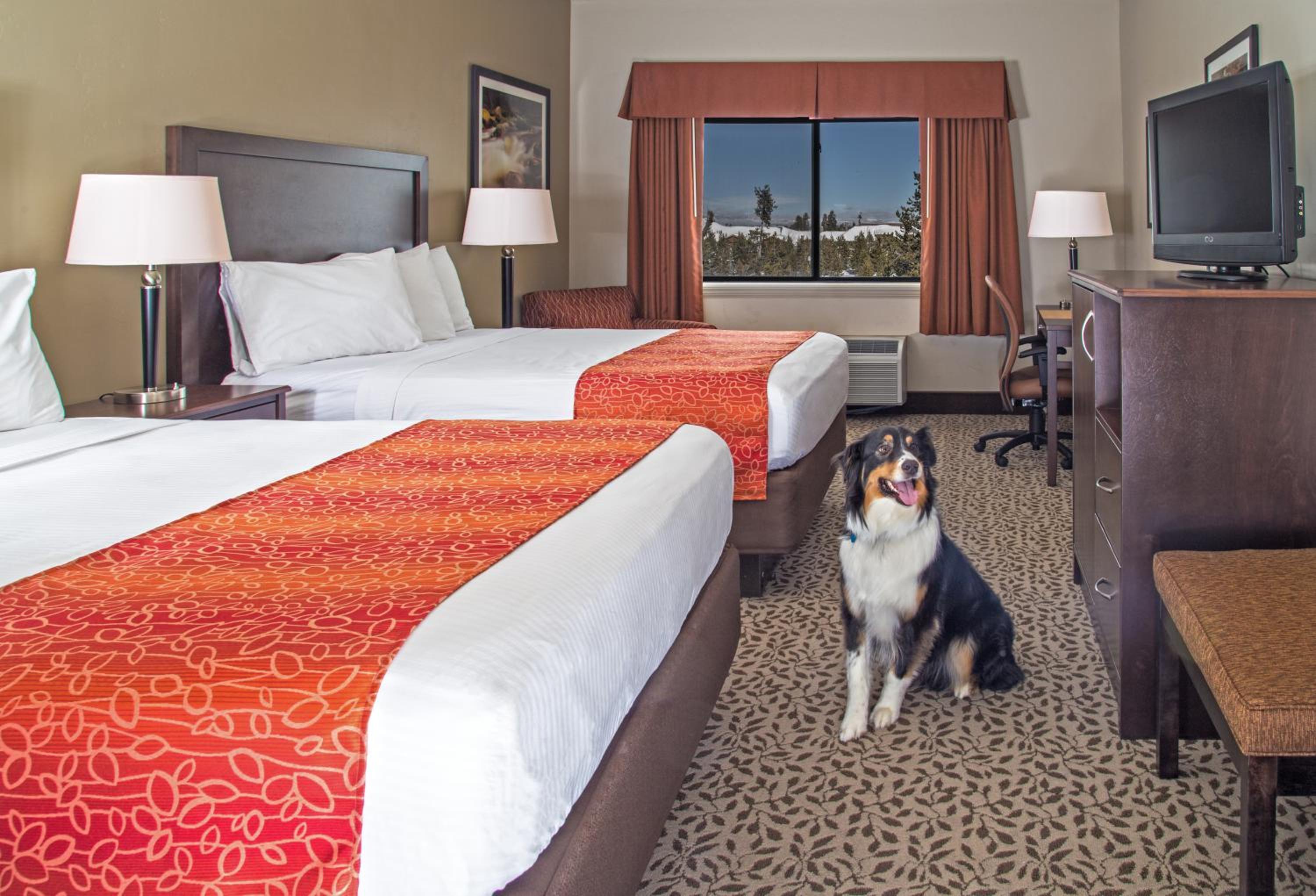 Deluxe Queen Room with Two Queen Beds photo 1