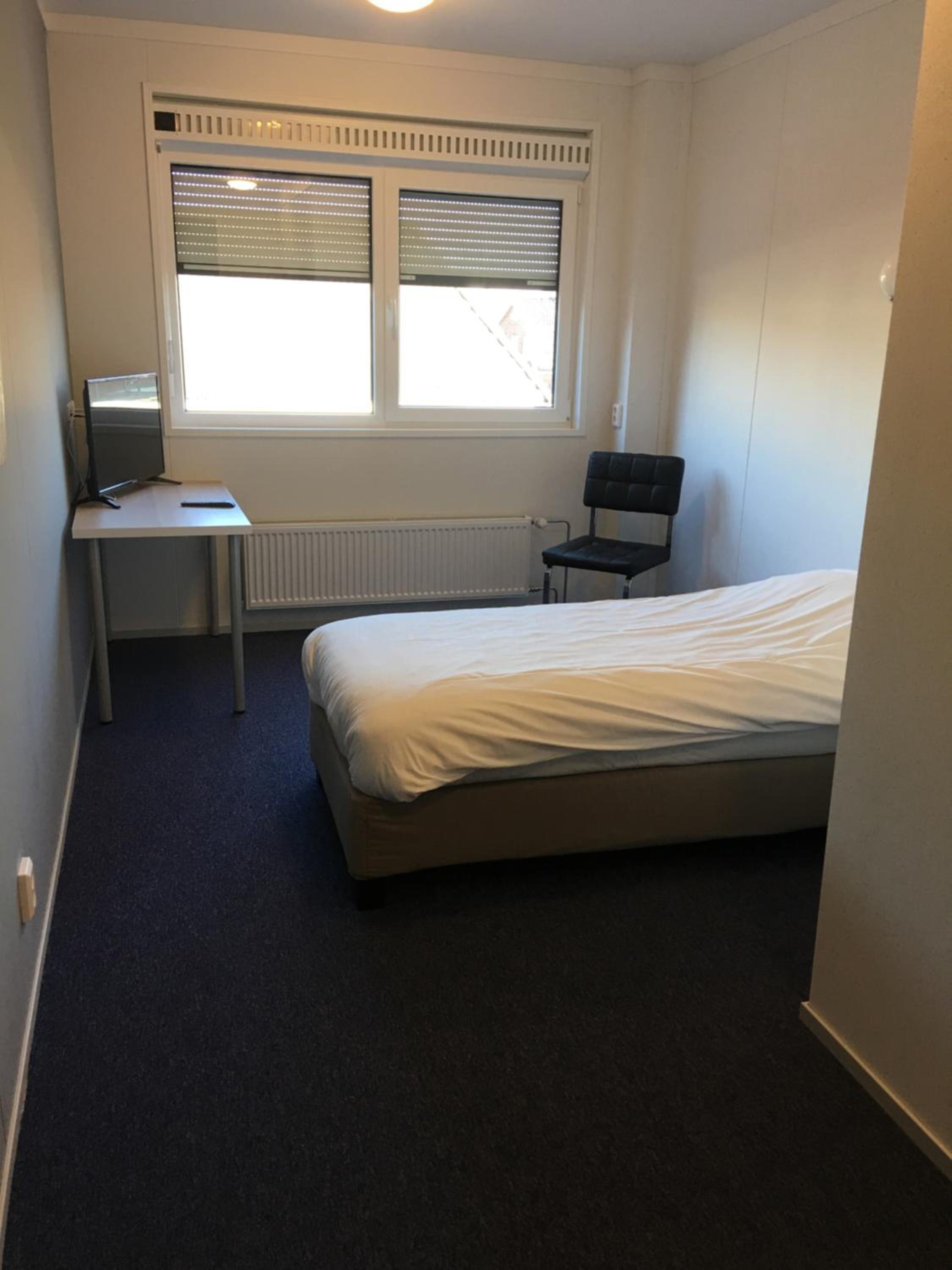 Single Room photo 1
