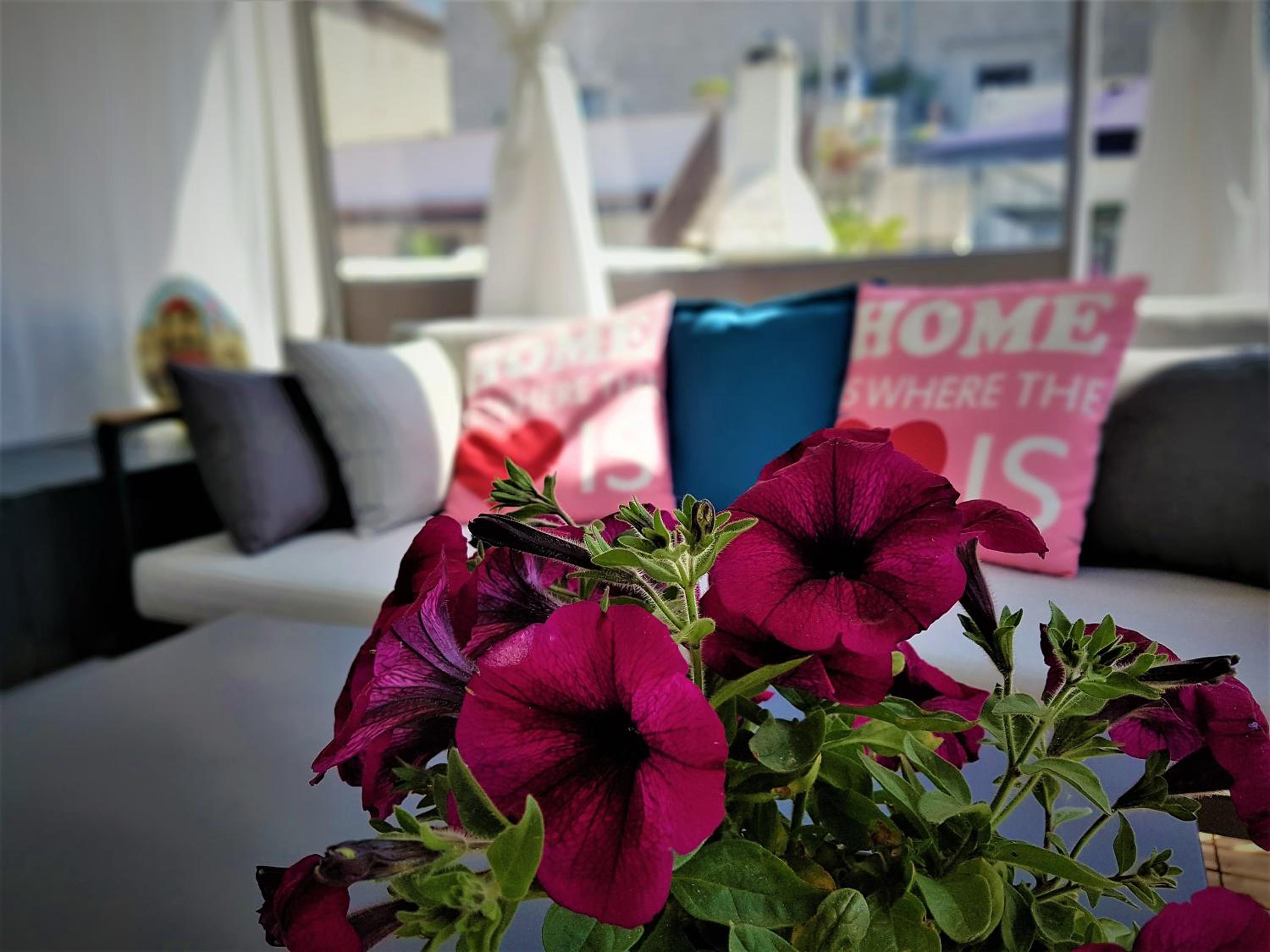 Studio Apartment with Sea View - Photo 2