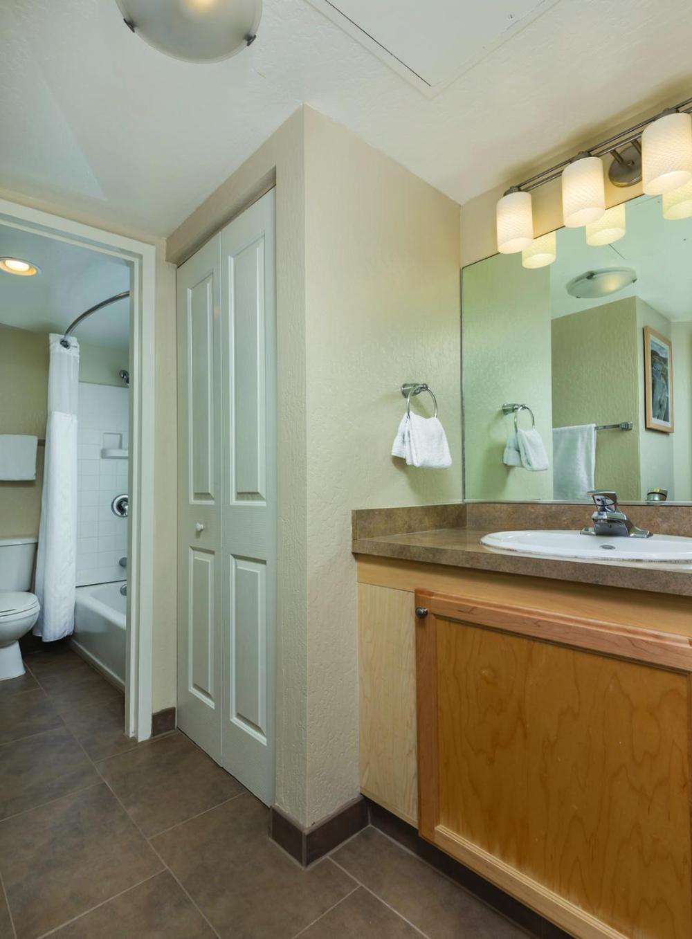 One-Bedroom Suite photo 3