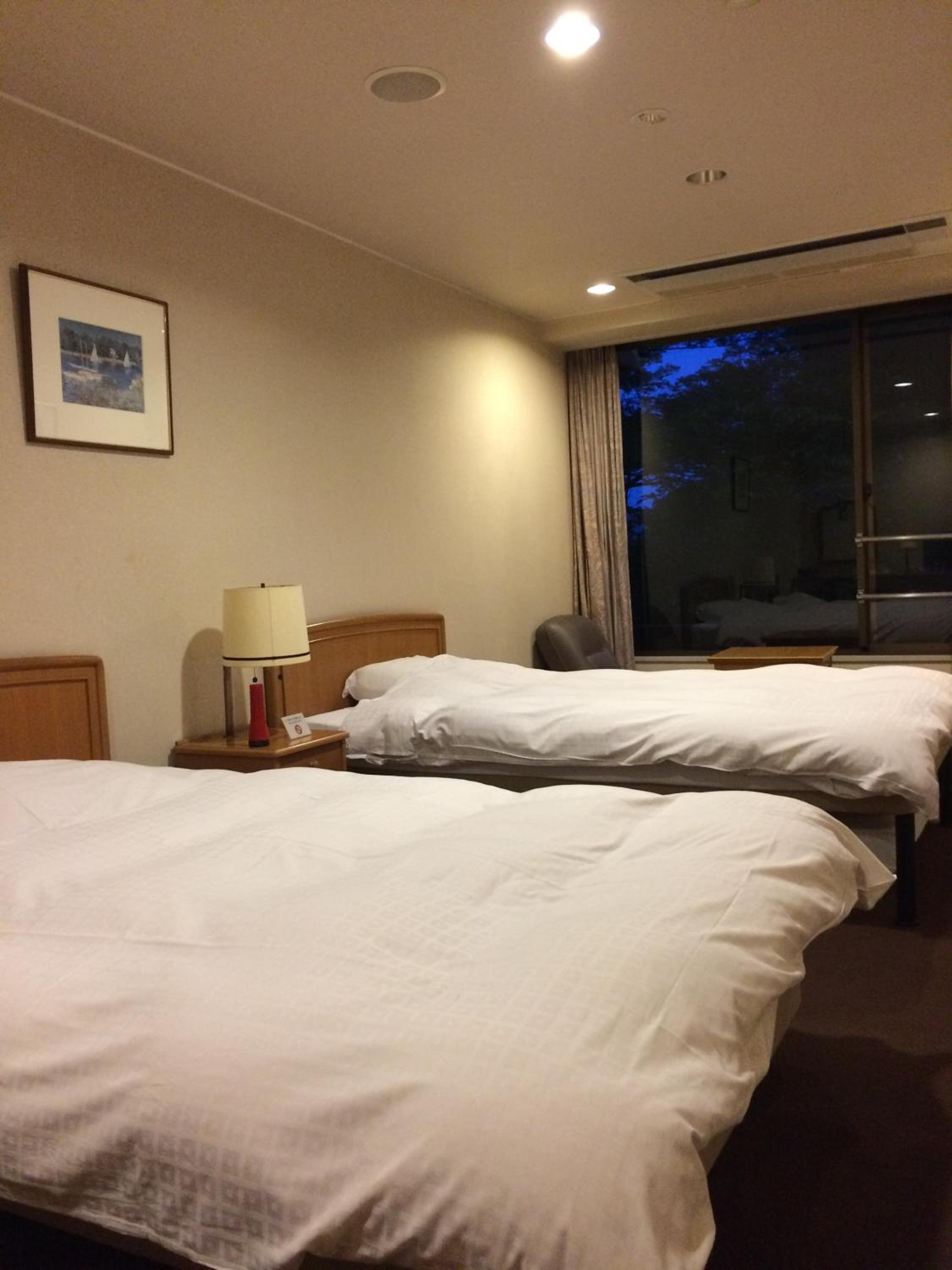 Twin Room photo 2