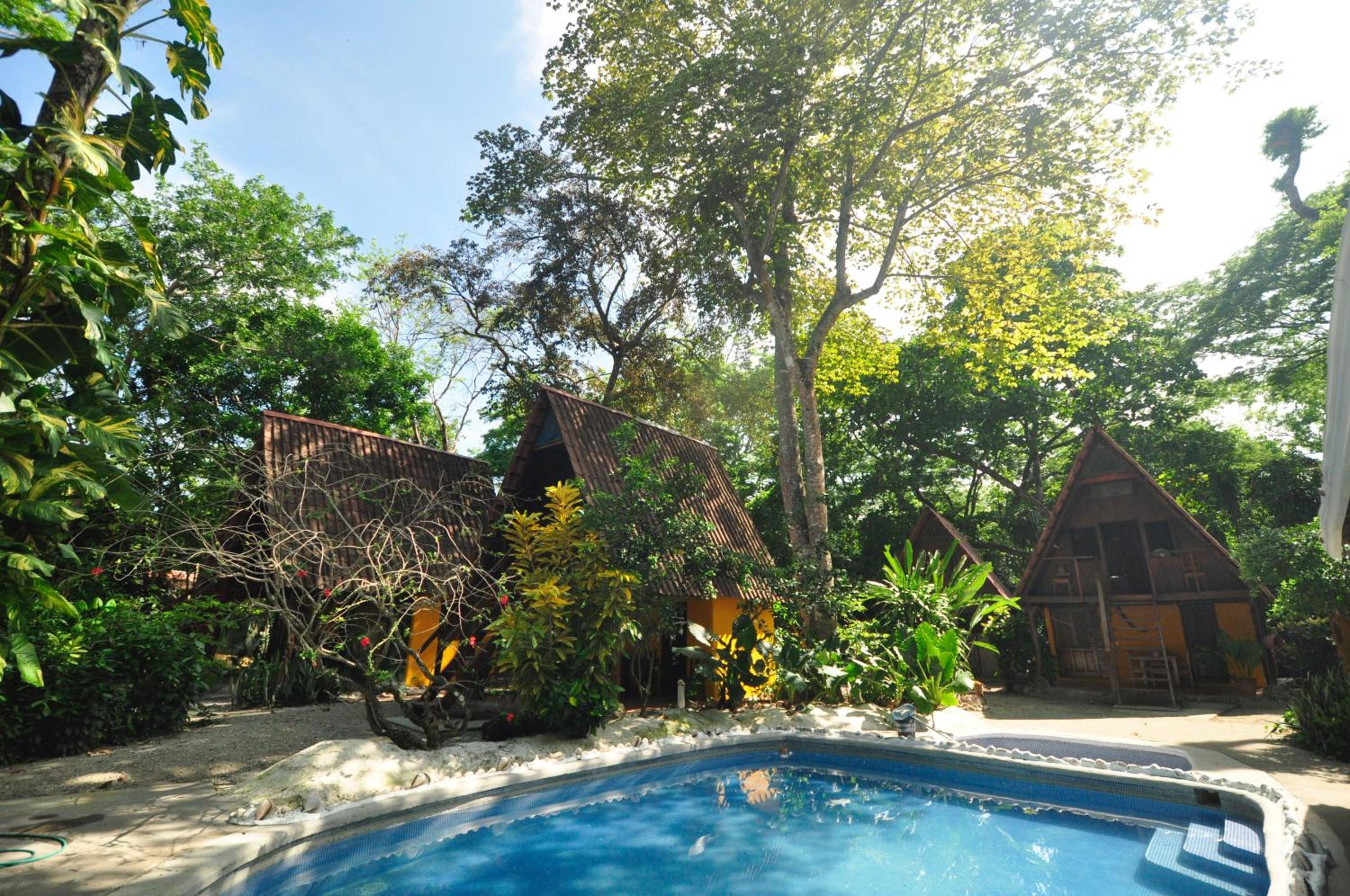 Bungalow - Beach Front photo 3