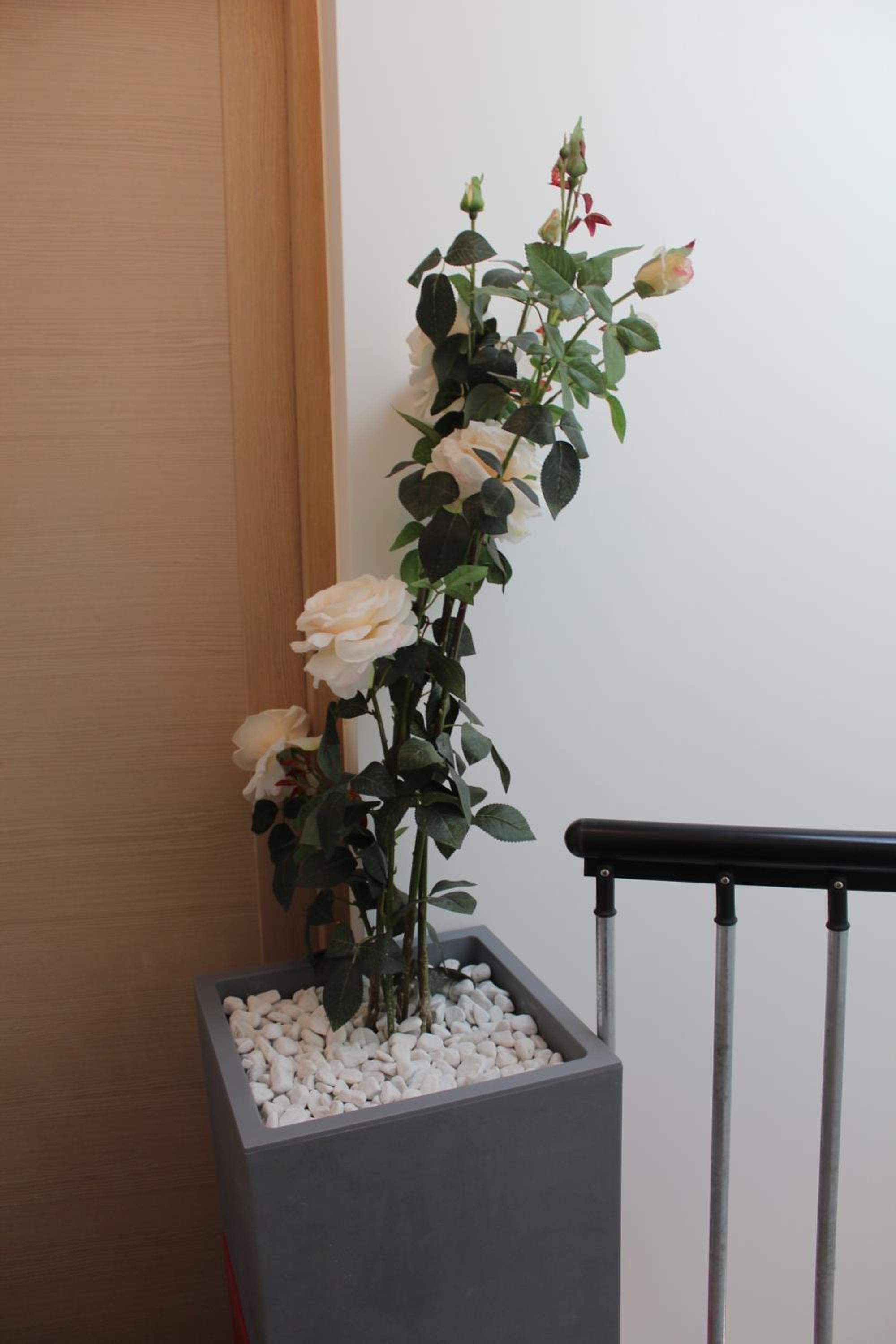 One-Bedroom Apartment - Photo 2