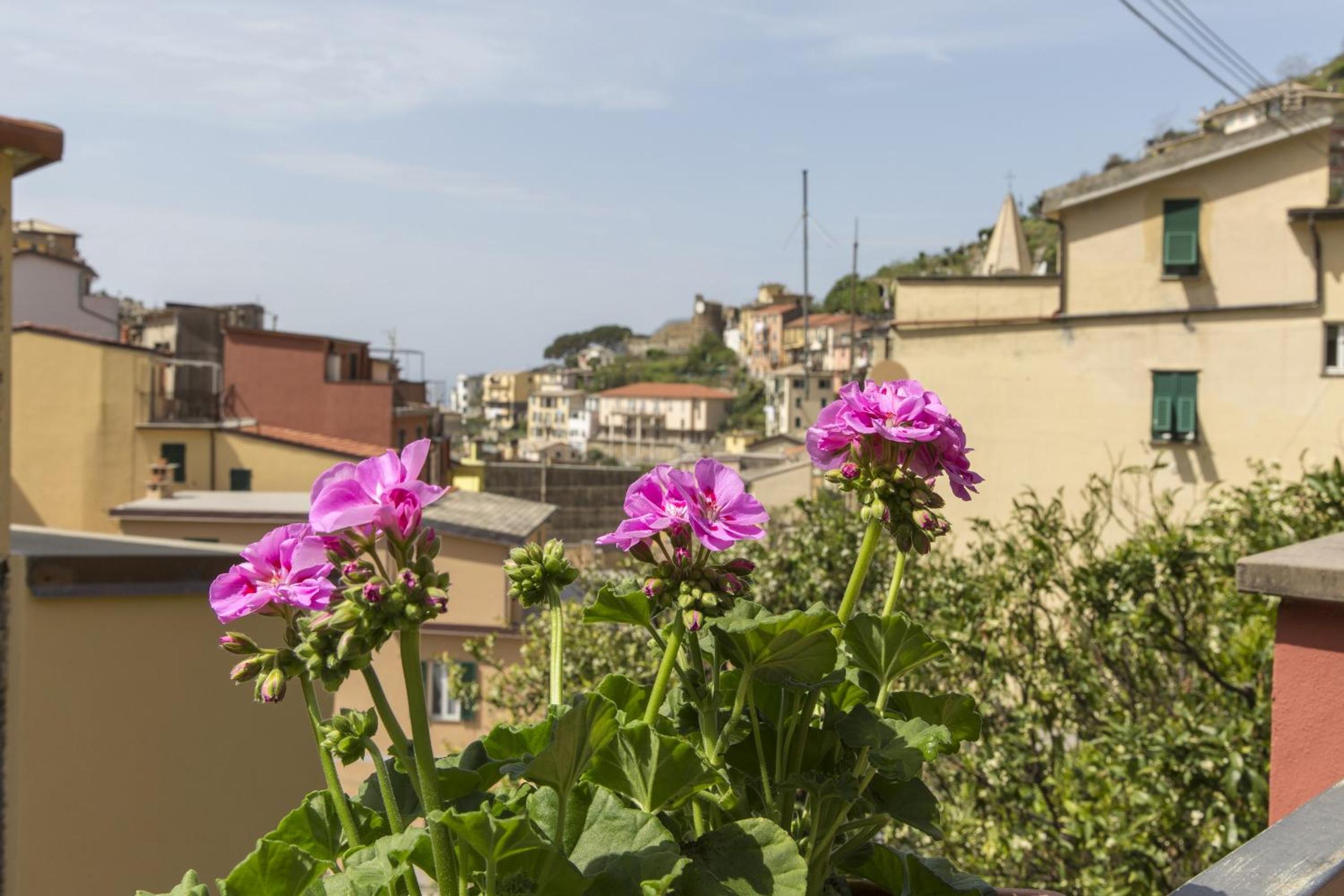 Double Room with Balcony photo 2