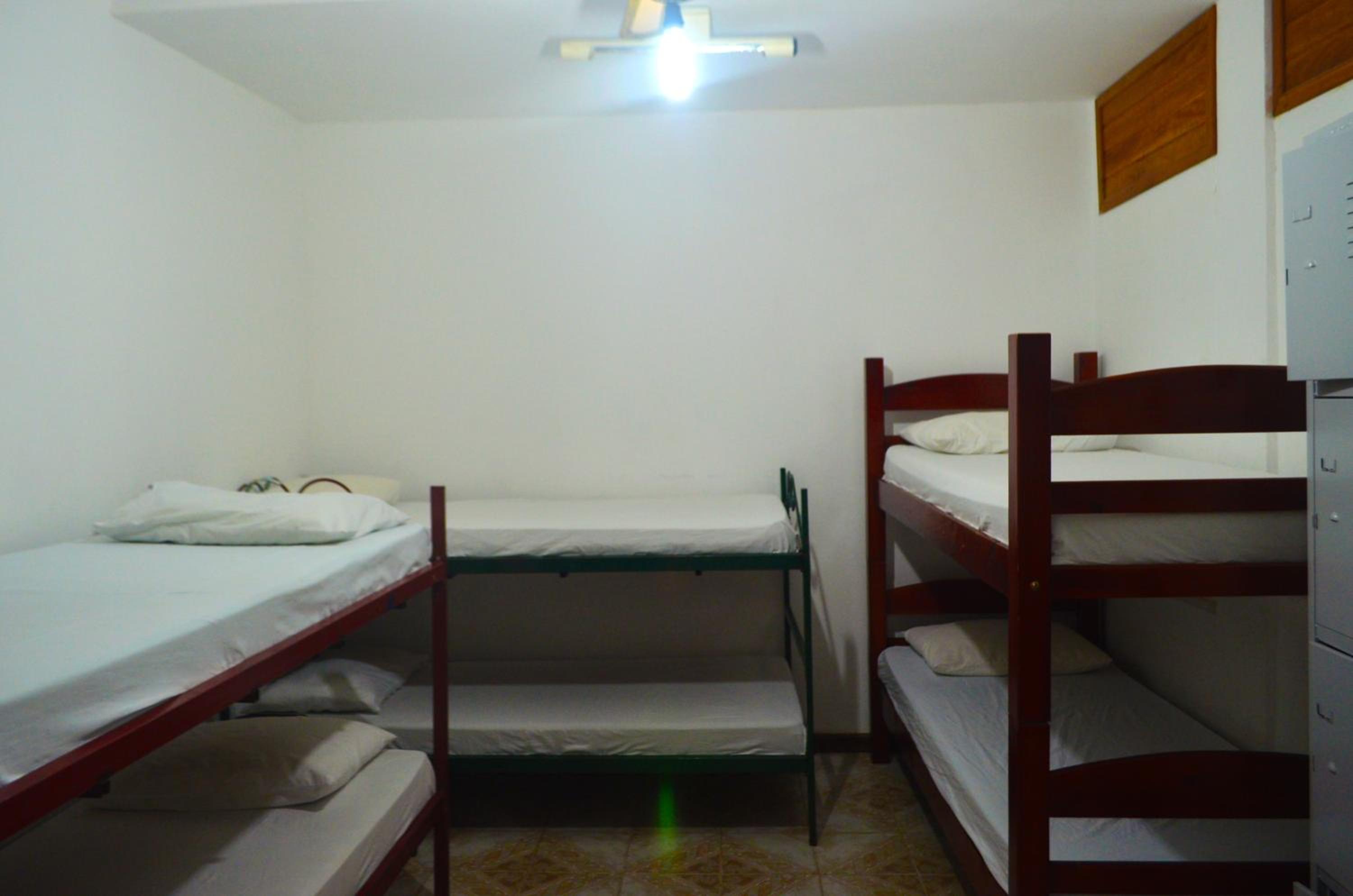 Bed in 6-Bed Mixed Dormitory Room photo 1