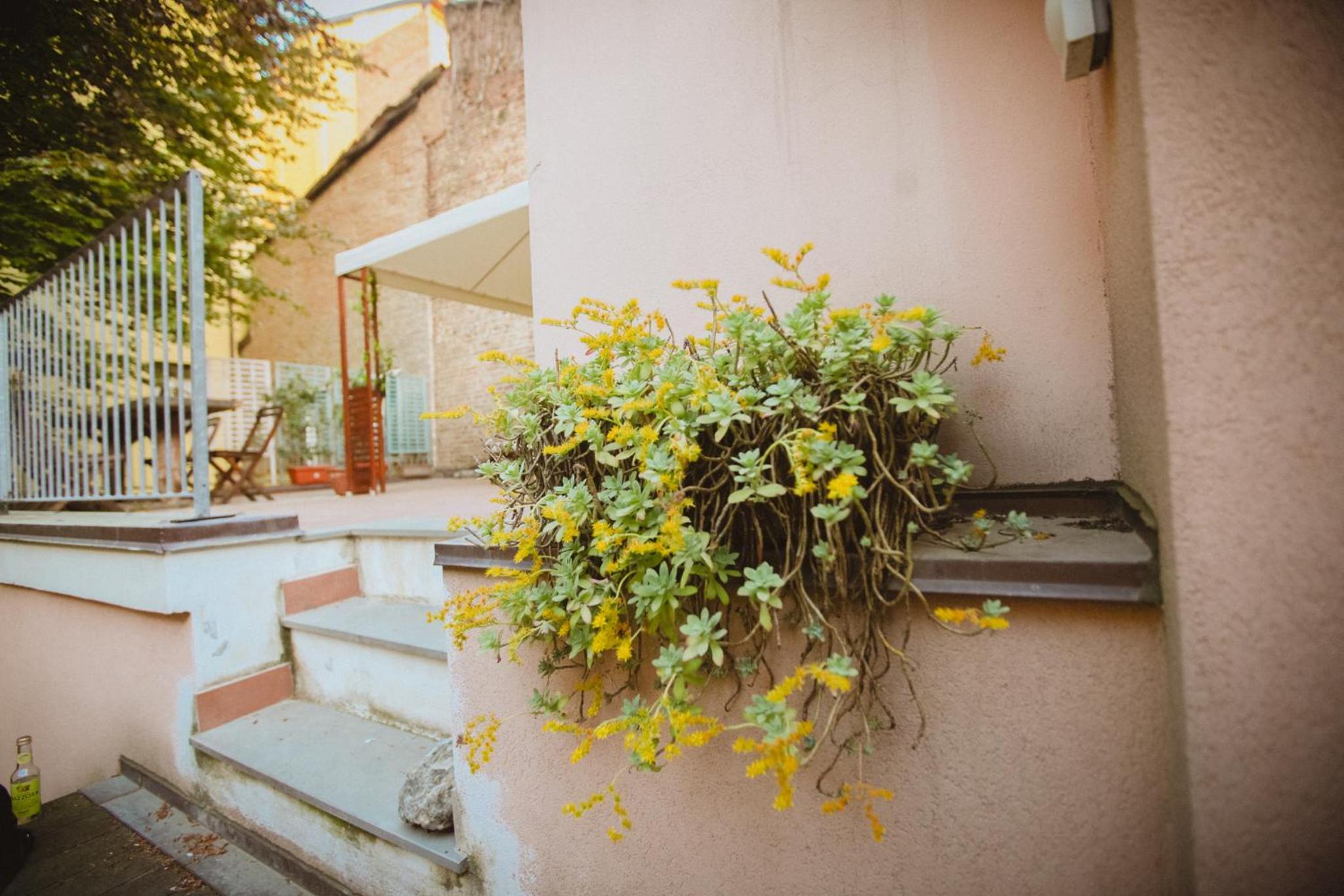 Apartment with Terrace - Photo 8