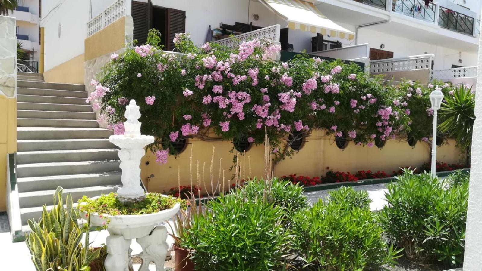 Apartment - Split Level - Photo 13