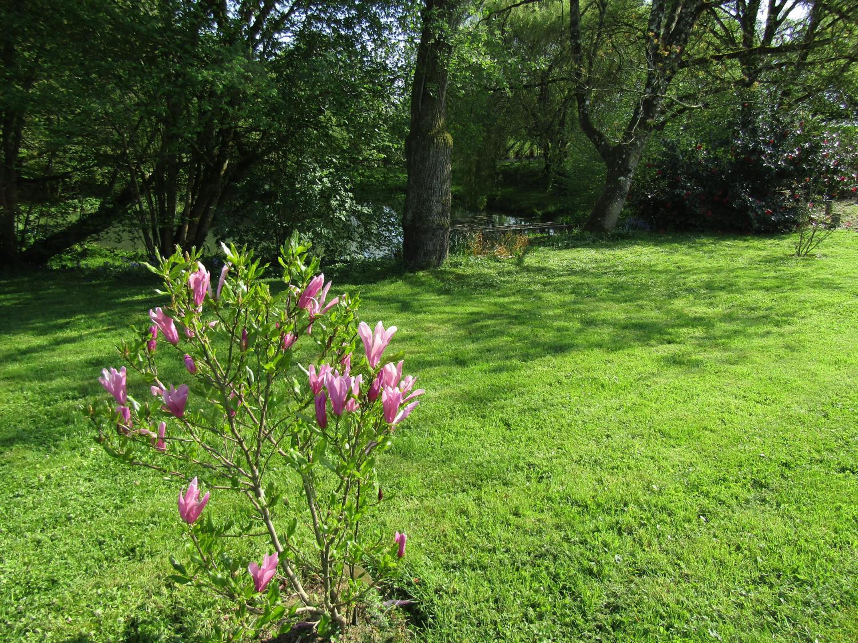 Three-Bedroom House - Photo 4