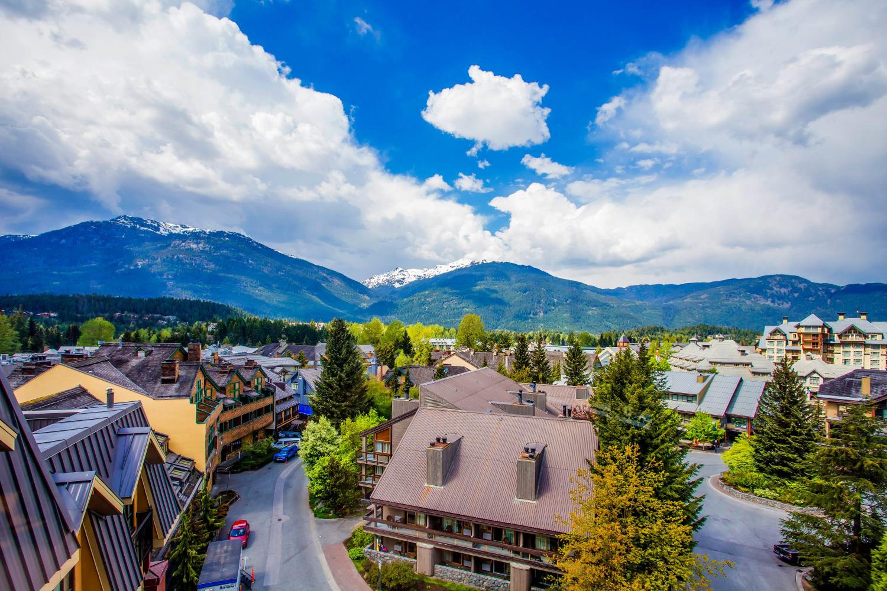 One Bedroom Suite with Valley View - Photo 4