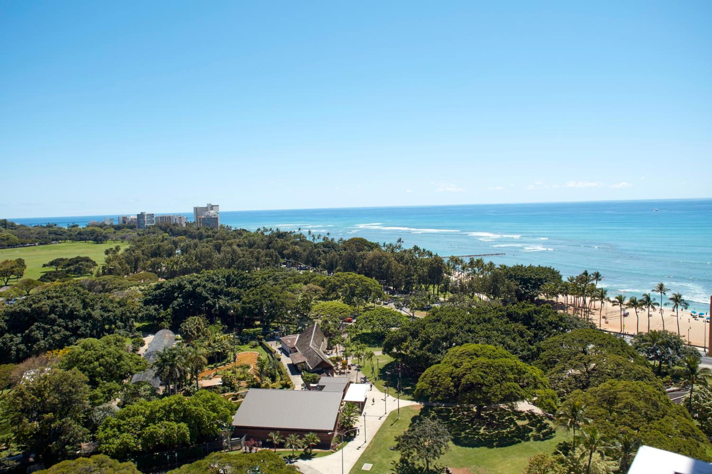 Jr. Suite Ocean View Balcony, King thumbnail 6