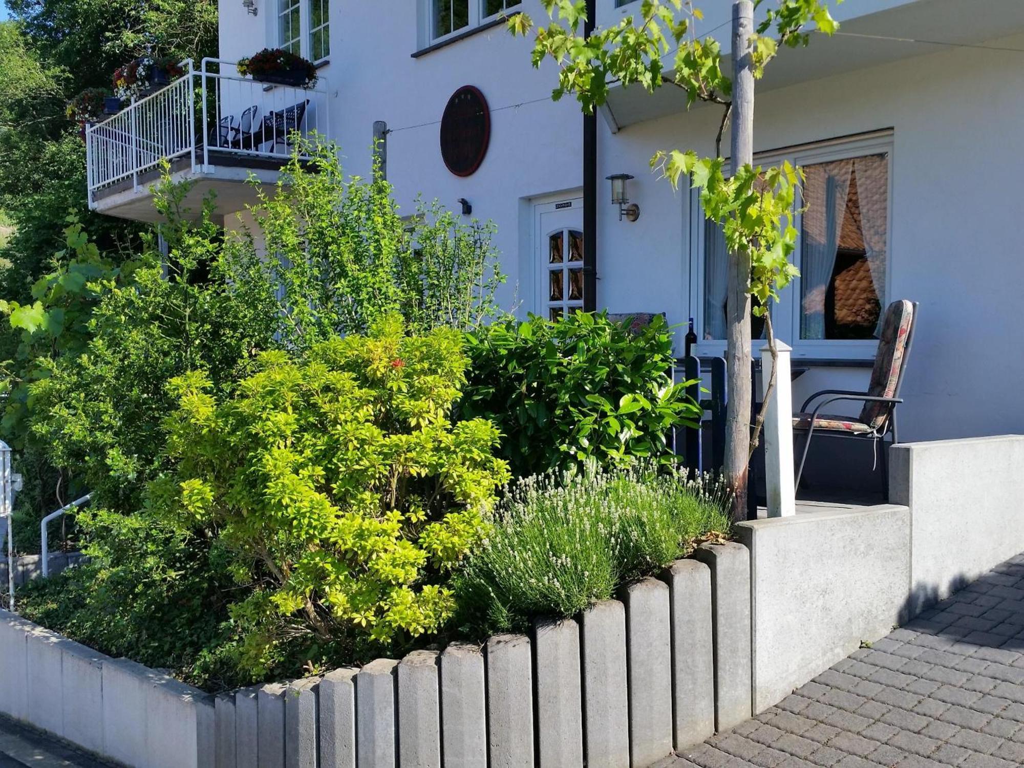 Apartment with Terrace photo 3