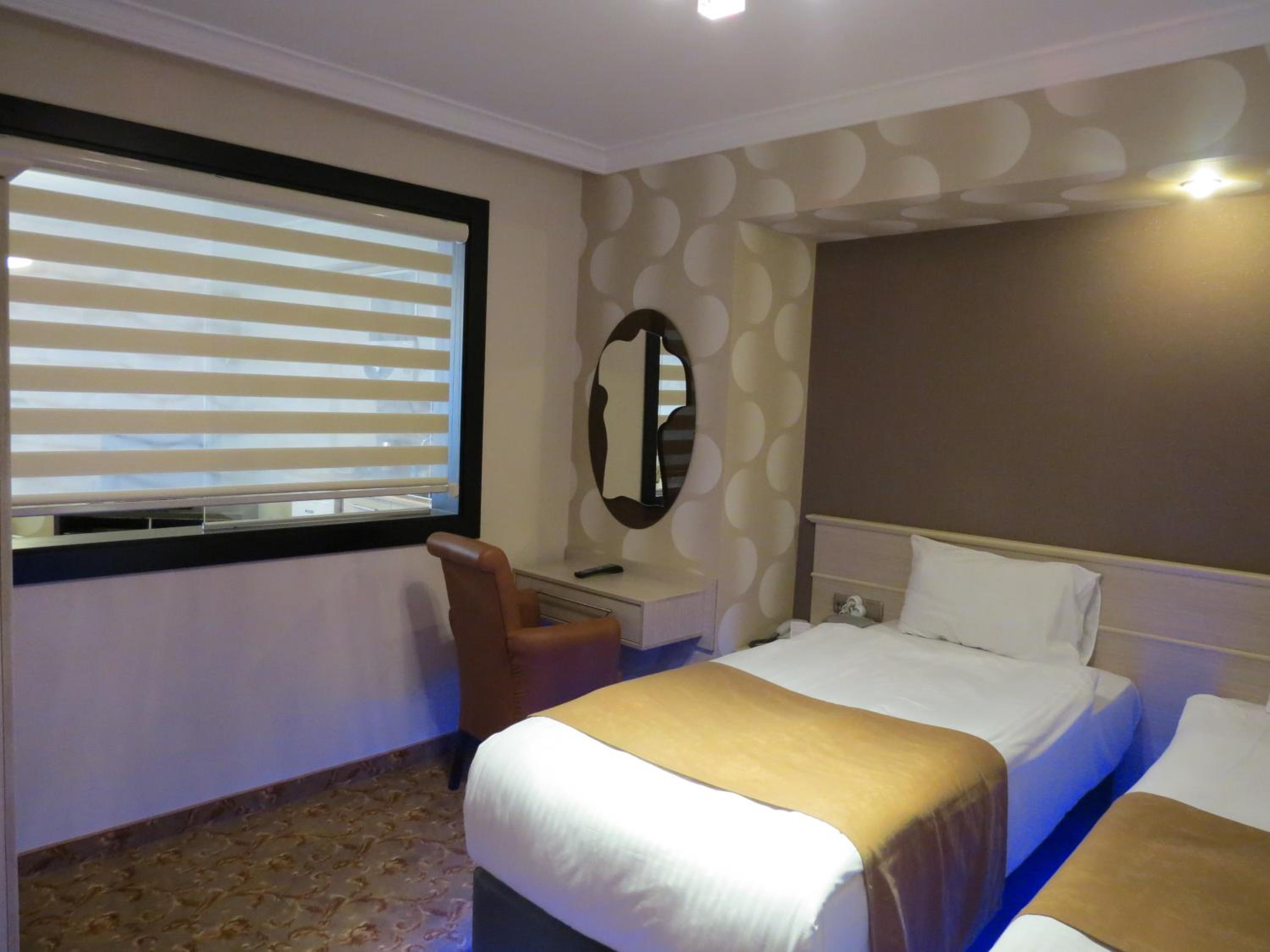 Triple Suite - Photo 6