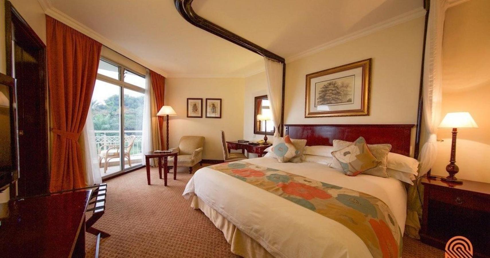 Suite - Photo 6