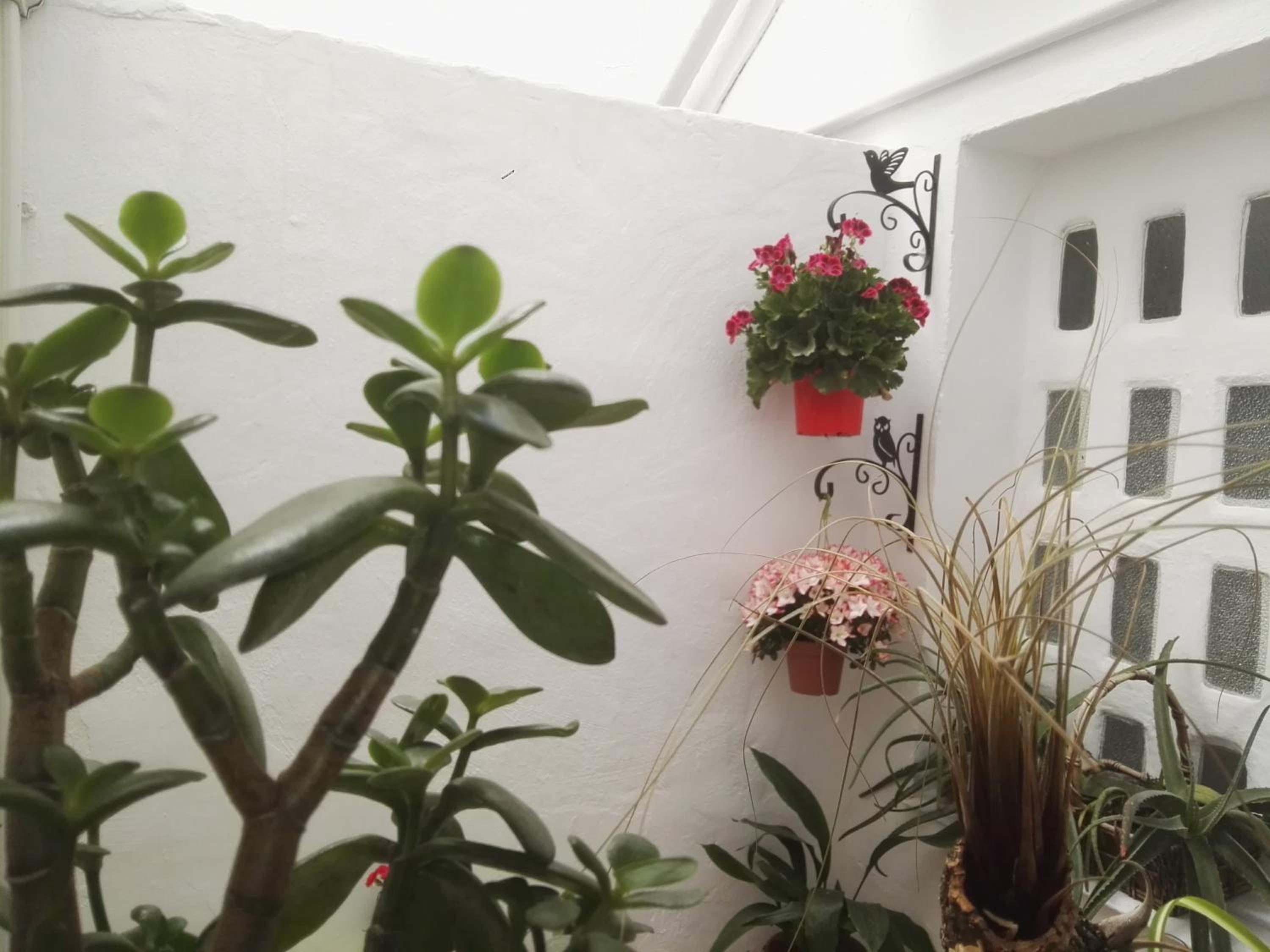 Apartment - Ground Floor - Photo 15