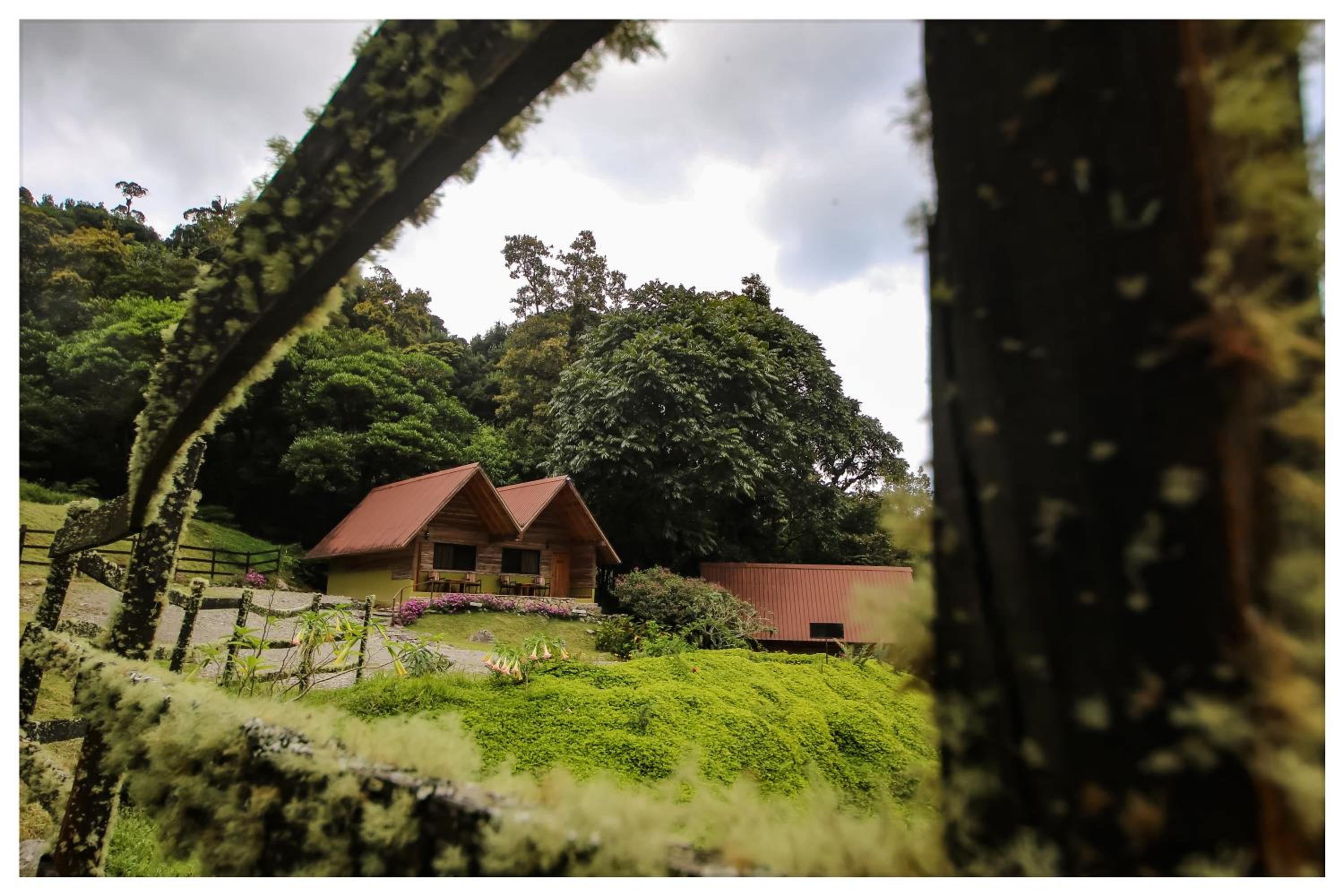 Family Cottage photo 2