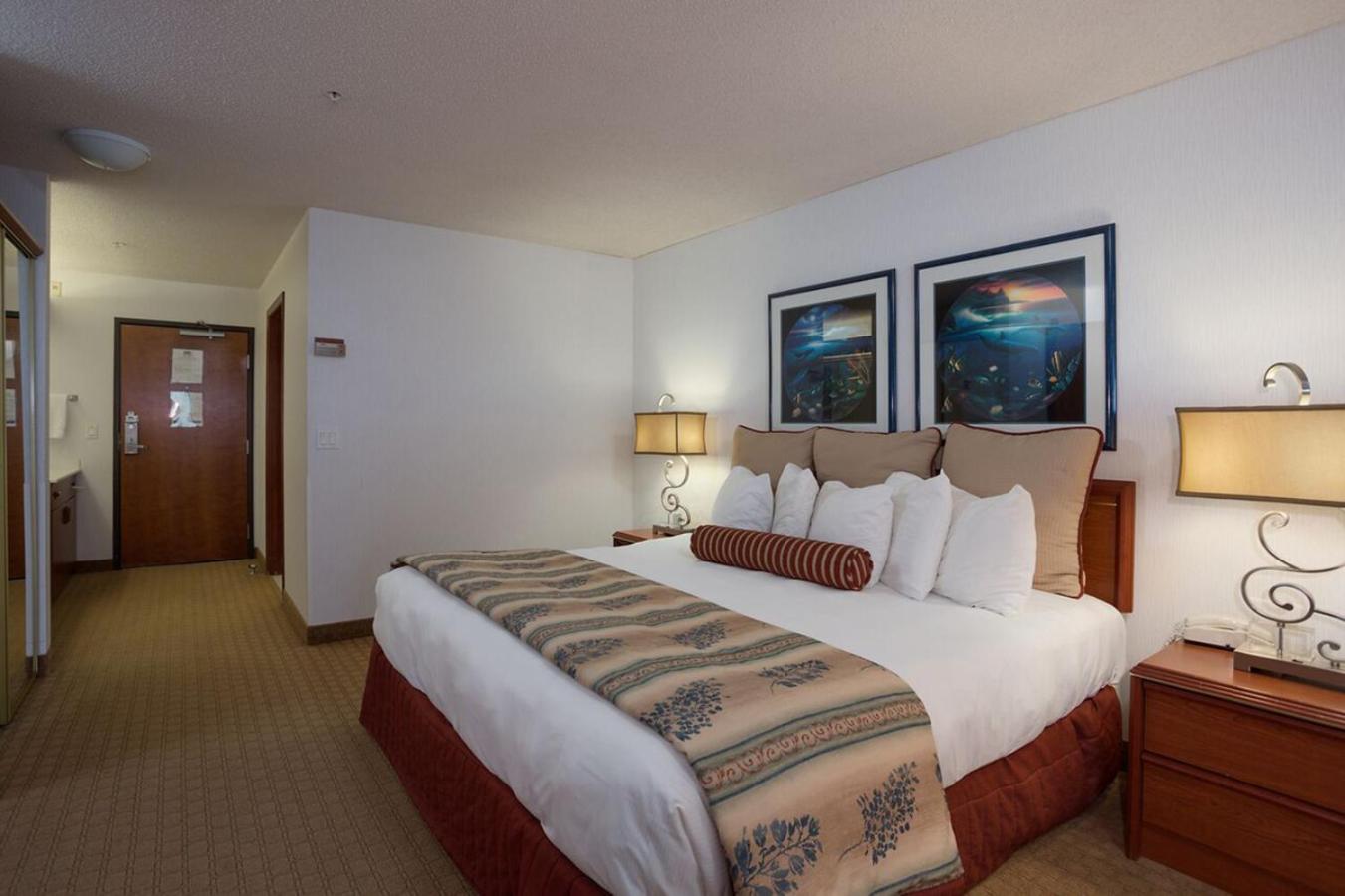 King Room With Sofa Bed photo 1
