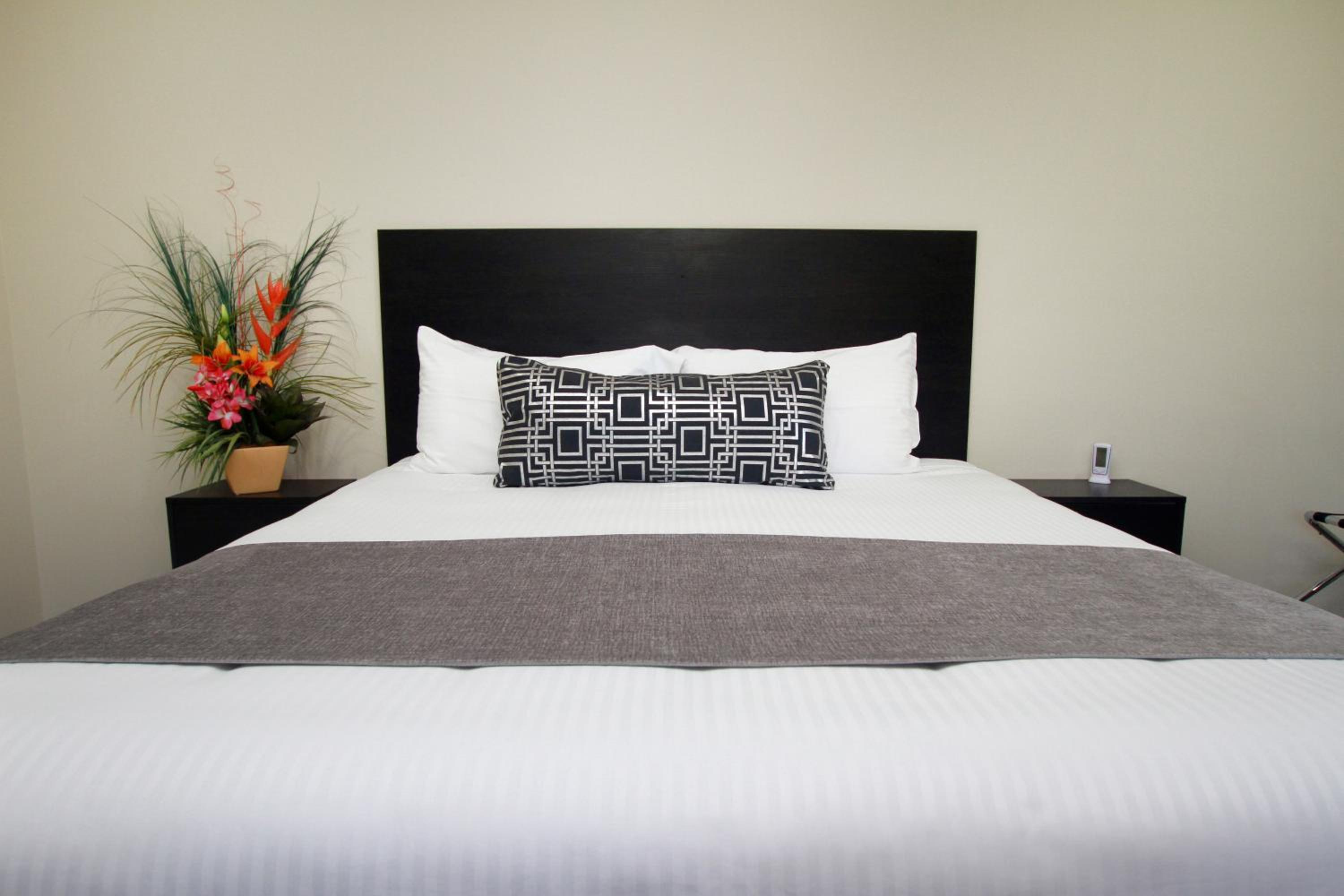 Executive King Room photo 2