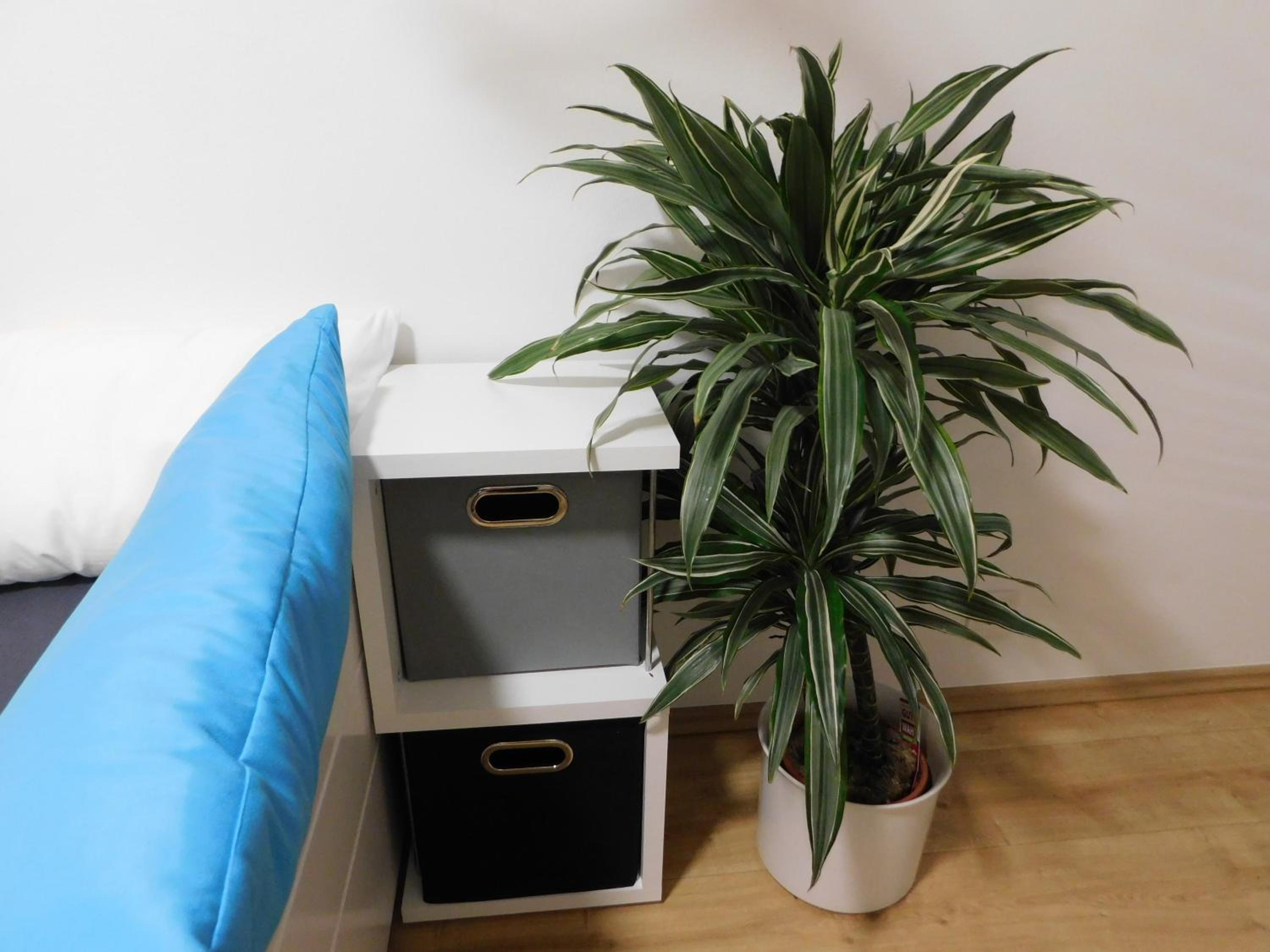 Apartment - Photo 22