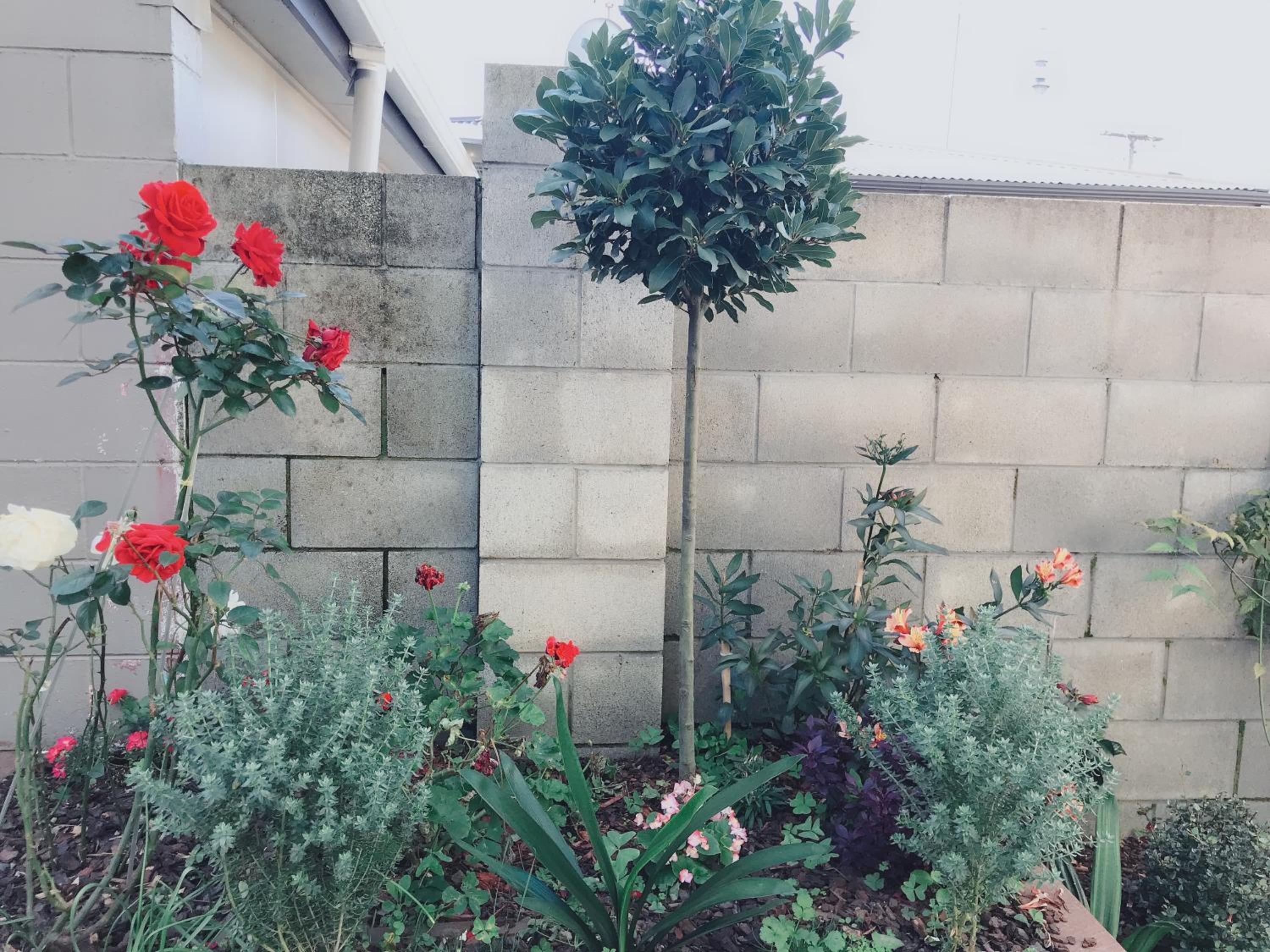 Studio with Garden View - Photo 5