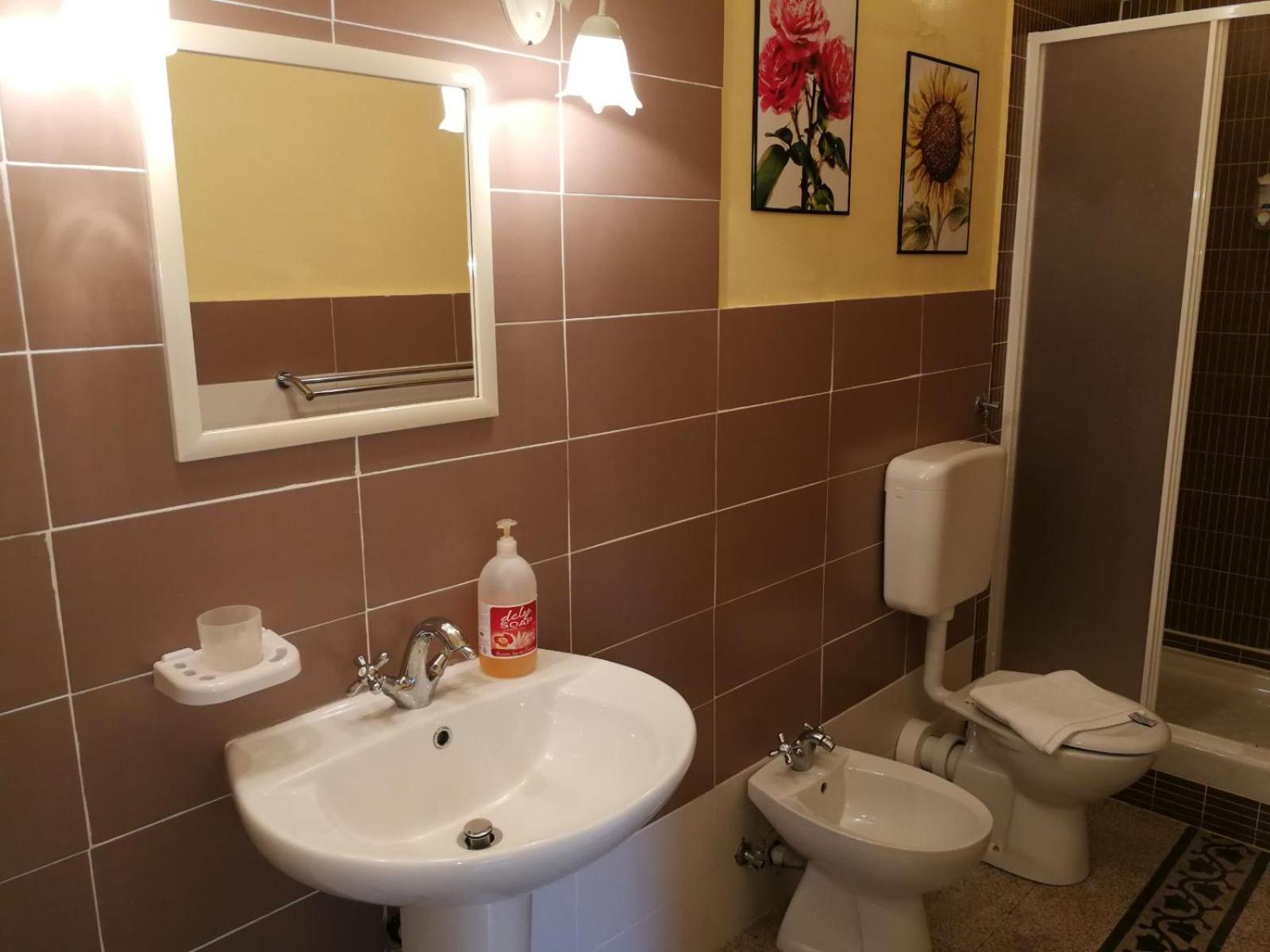Single Room photo 2