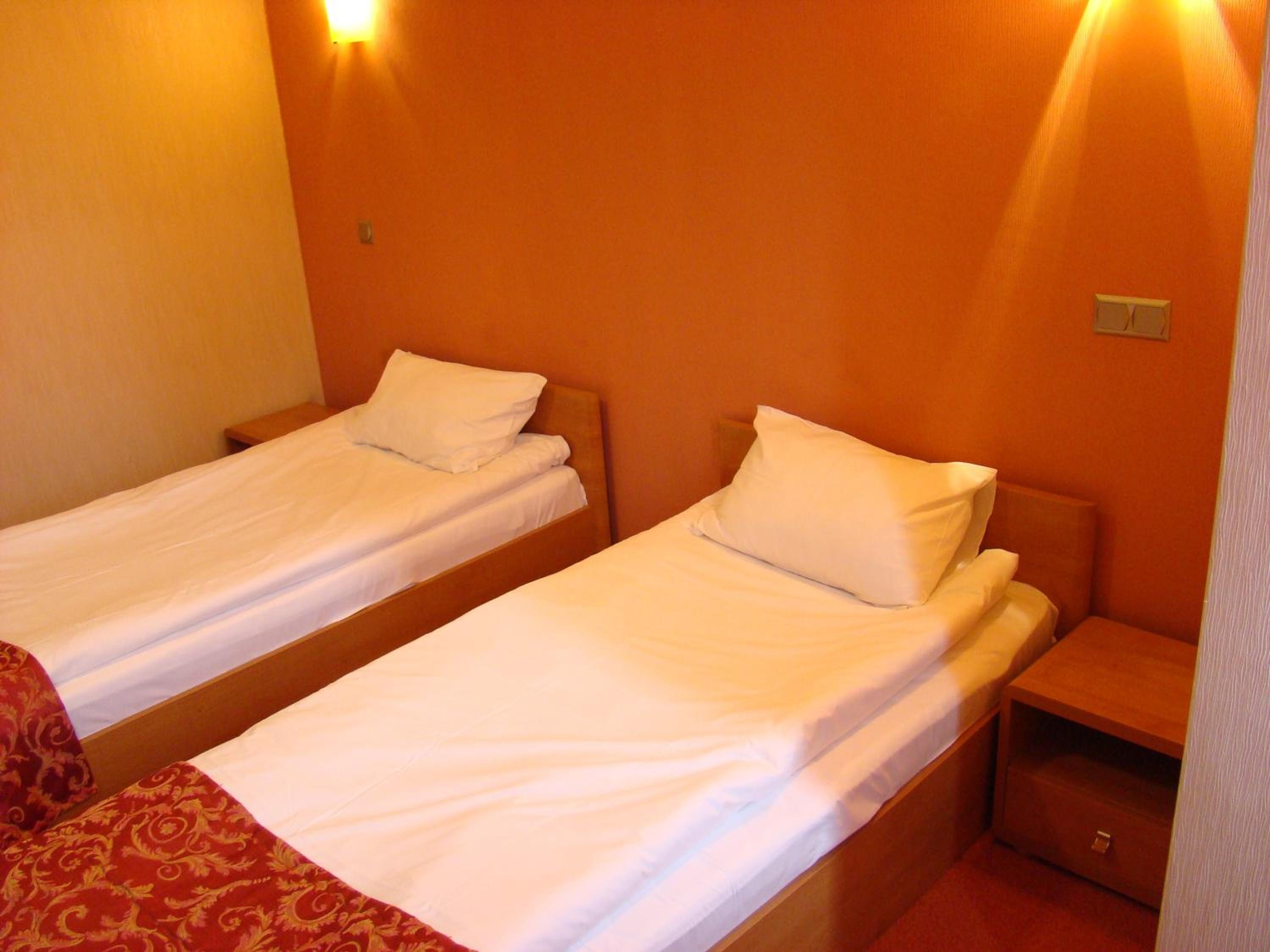 Standard Twin Room with Mountain View photo 3