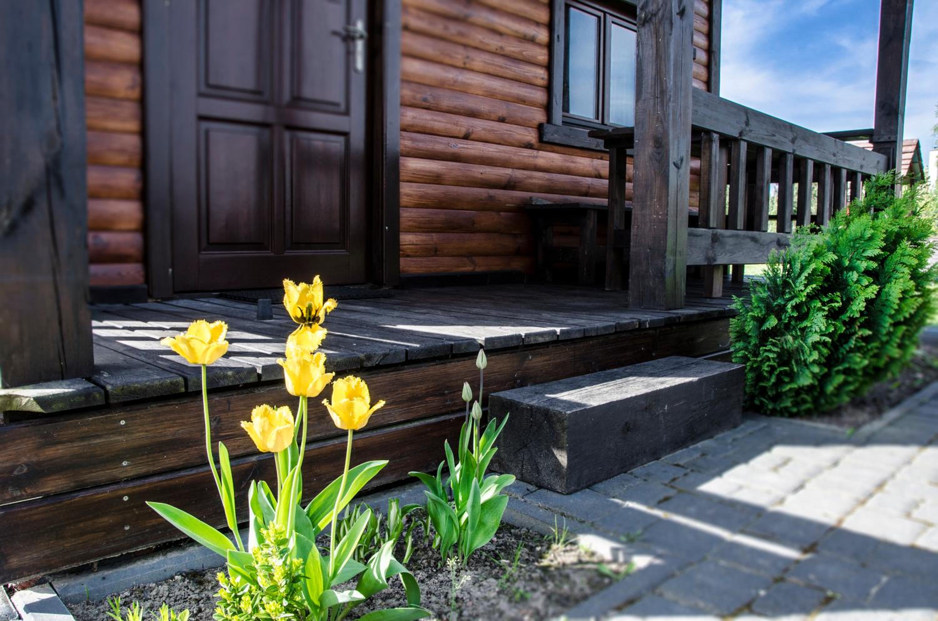 Superior Chalet - Photo 12