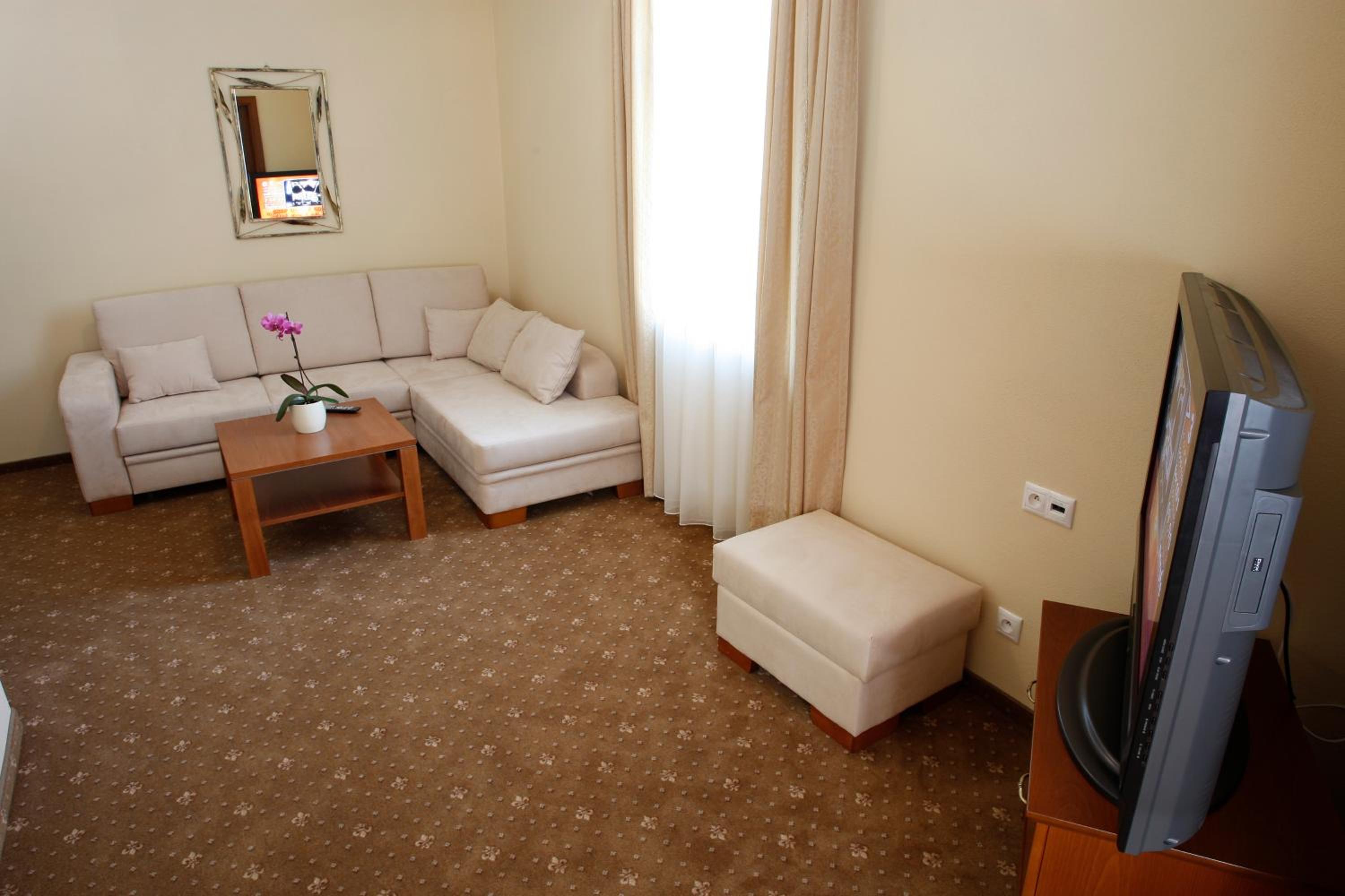 Deluxe Apartment