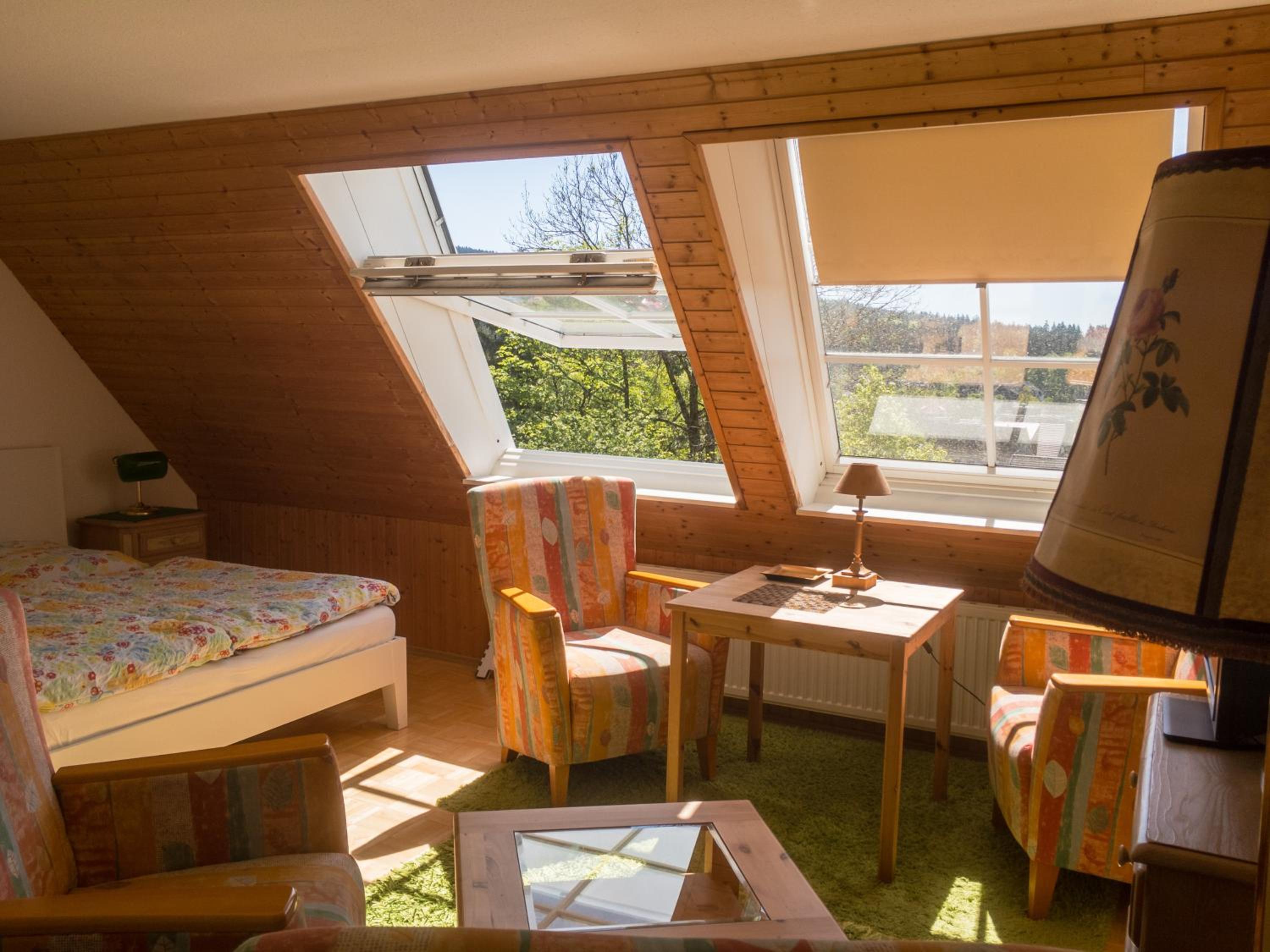Double Room with Mountain View photo 2