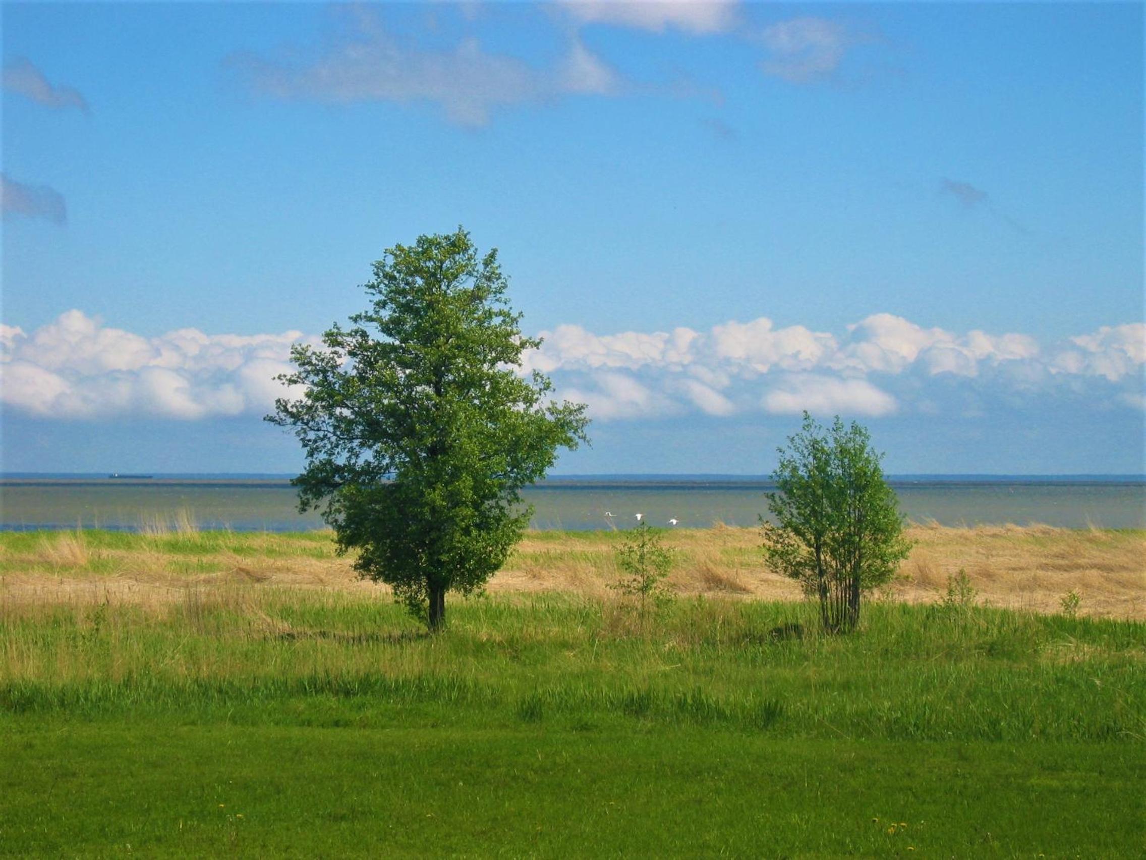 Vacation Home - Photo 11