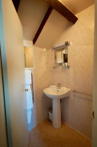 Standard Twin Room photo 3