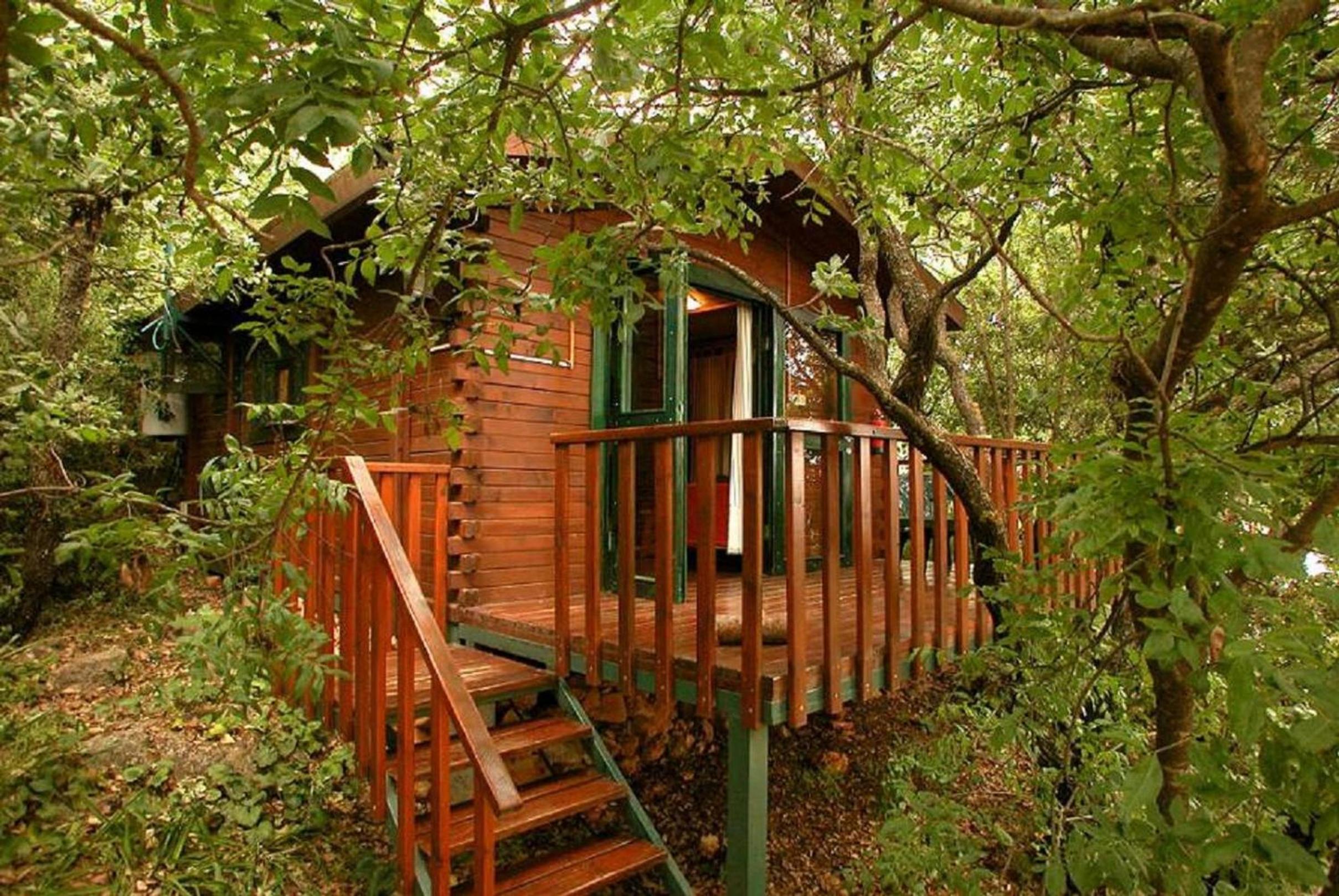 Cottage with Spa Bath photo 2