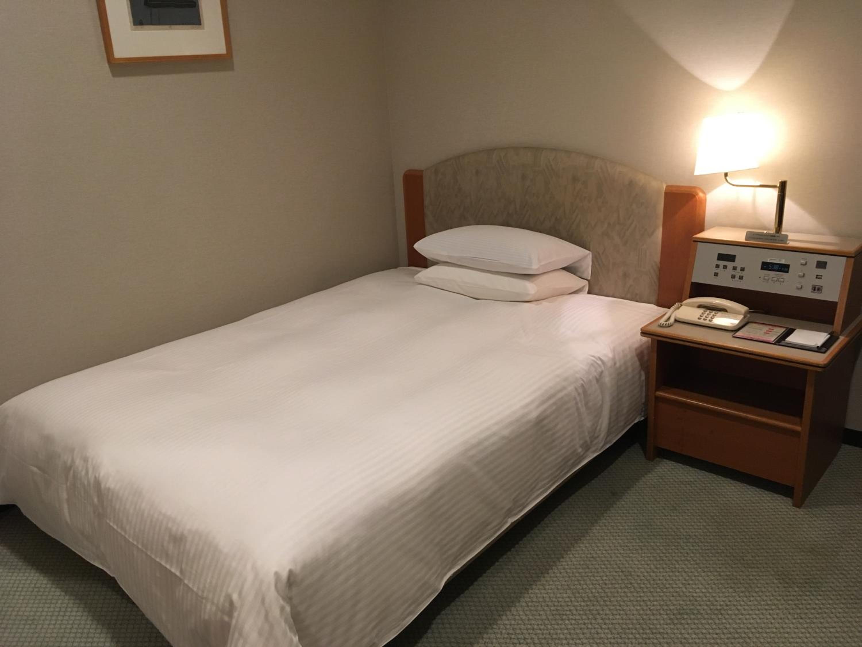 Single Room - Smoking photo 1