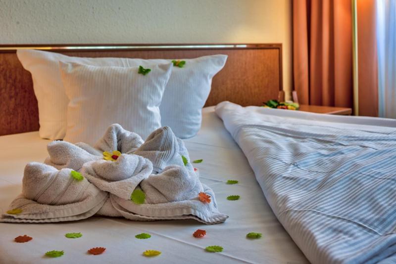 Superior Single Room