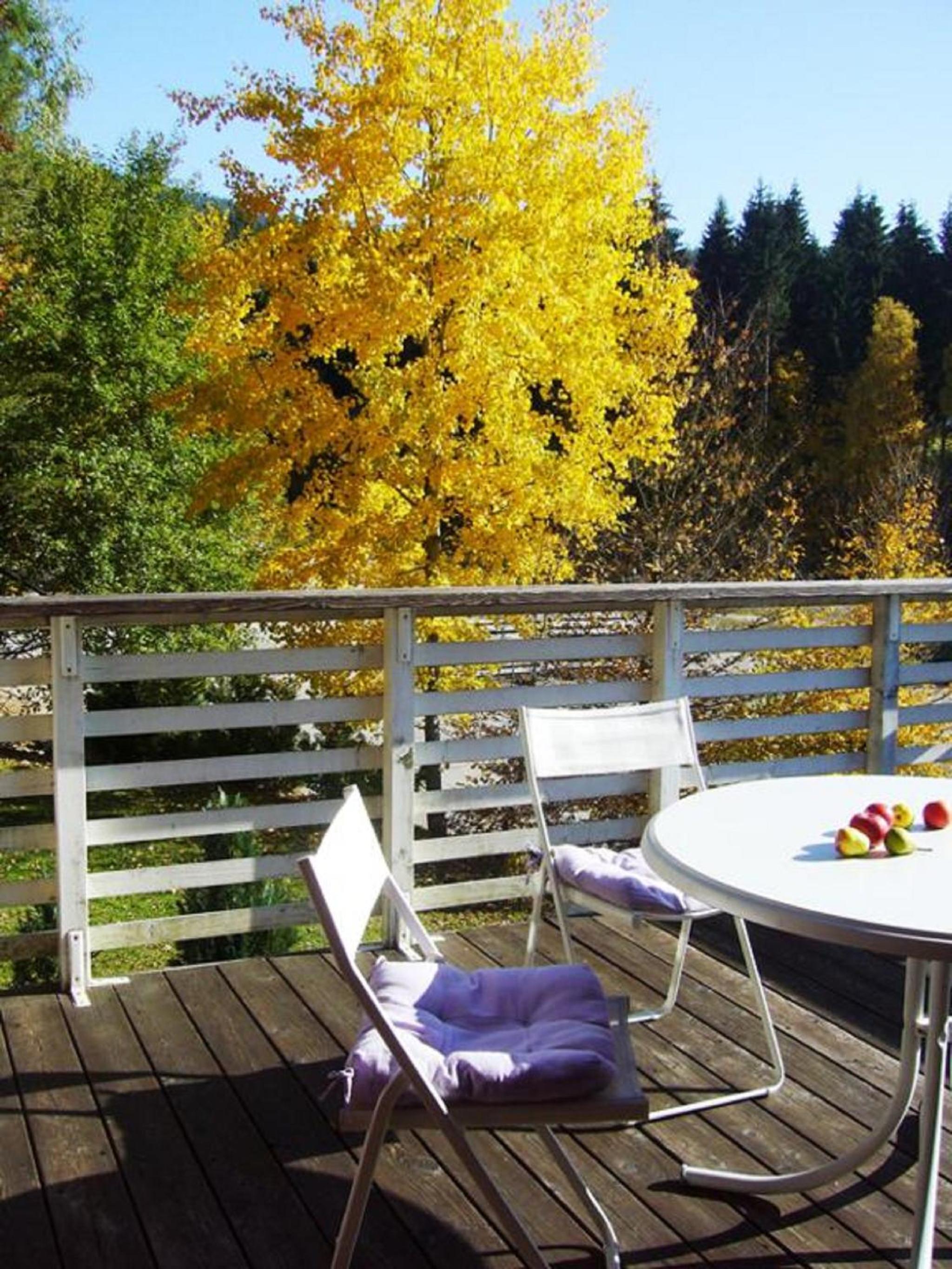 Apartment with Terrace photo 2