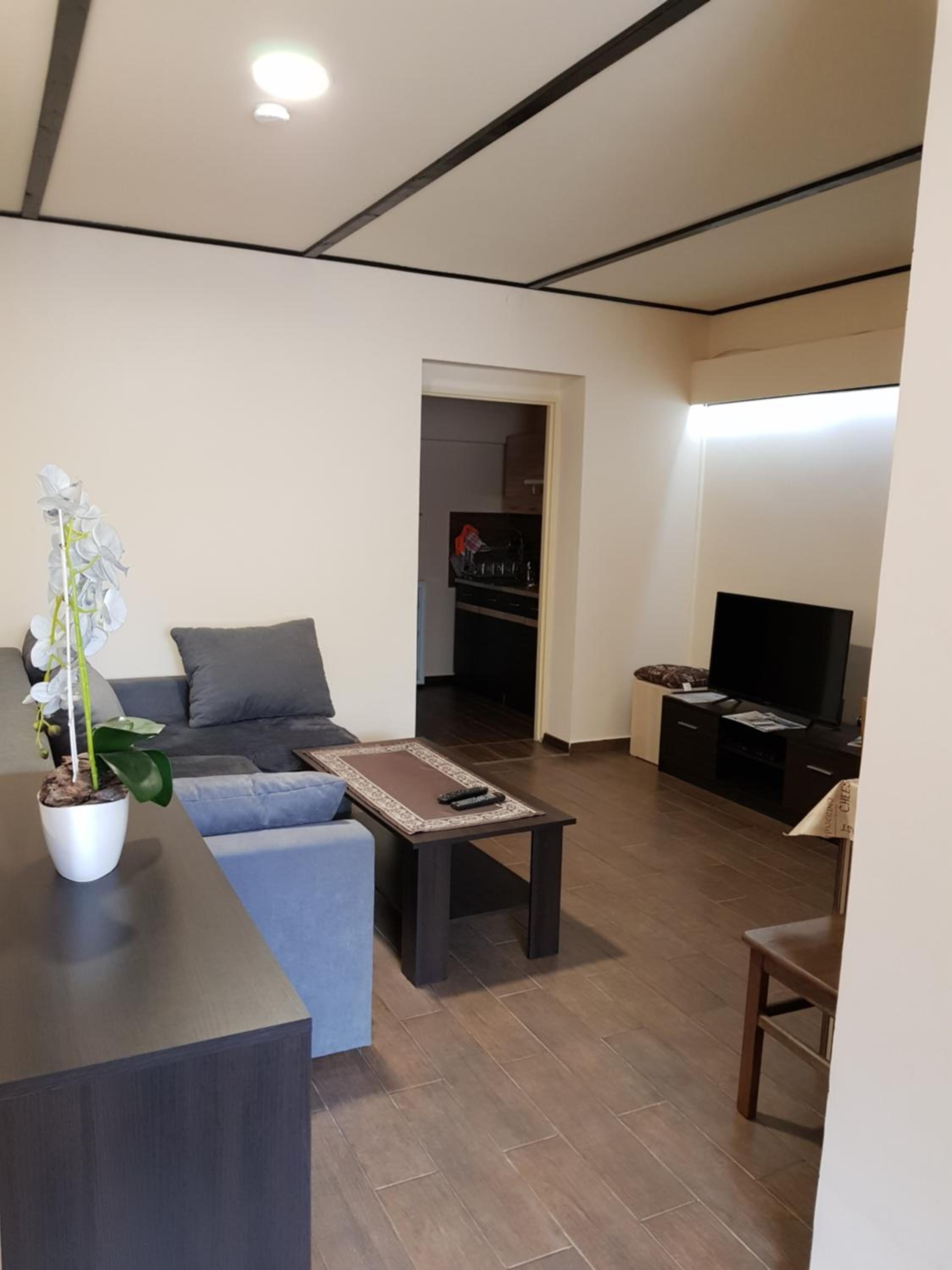 Apartment - Photo 2