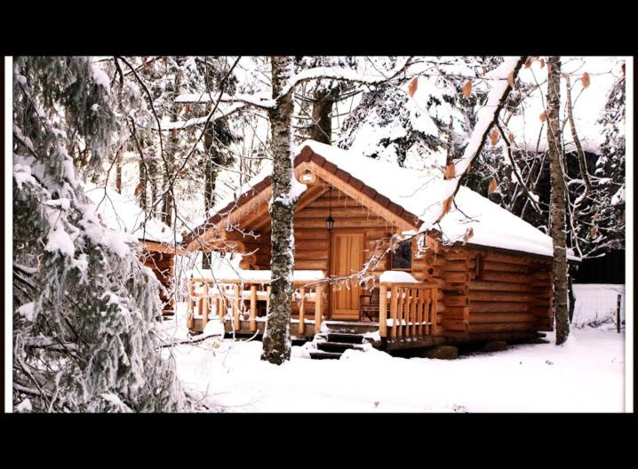 Chalet - Photo 10
