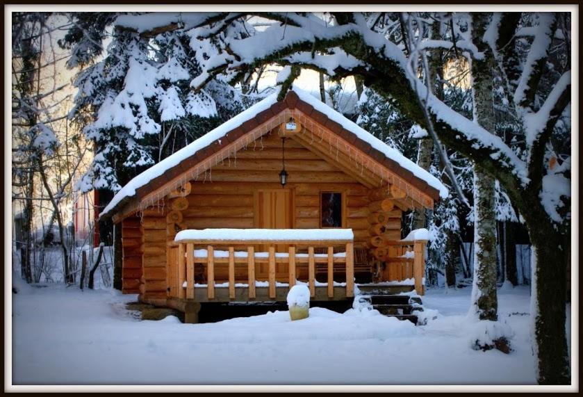 Chalet - Photo 9
