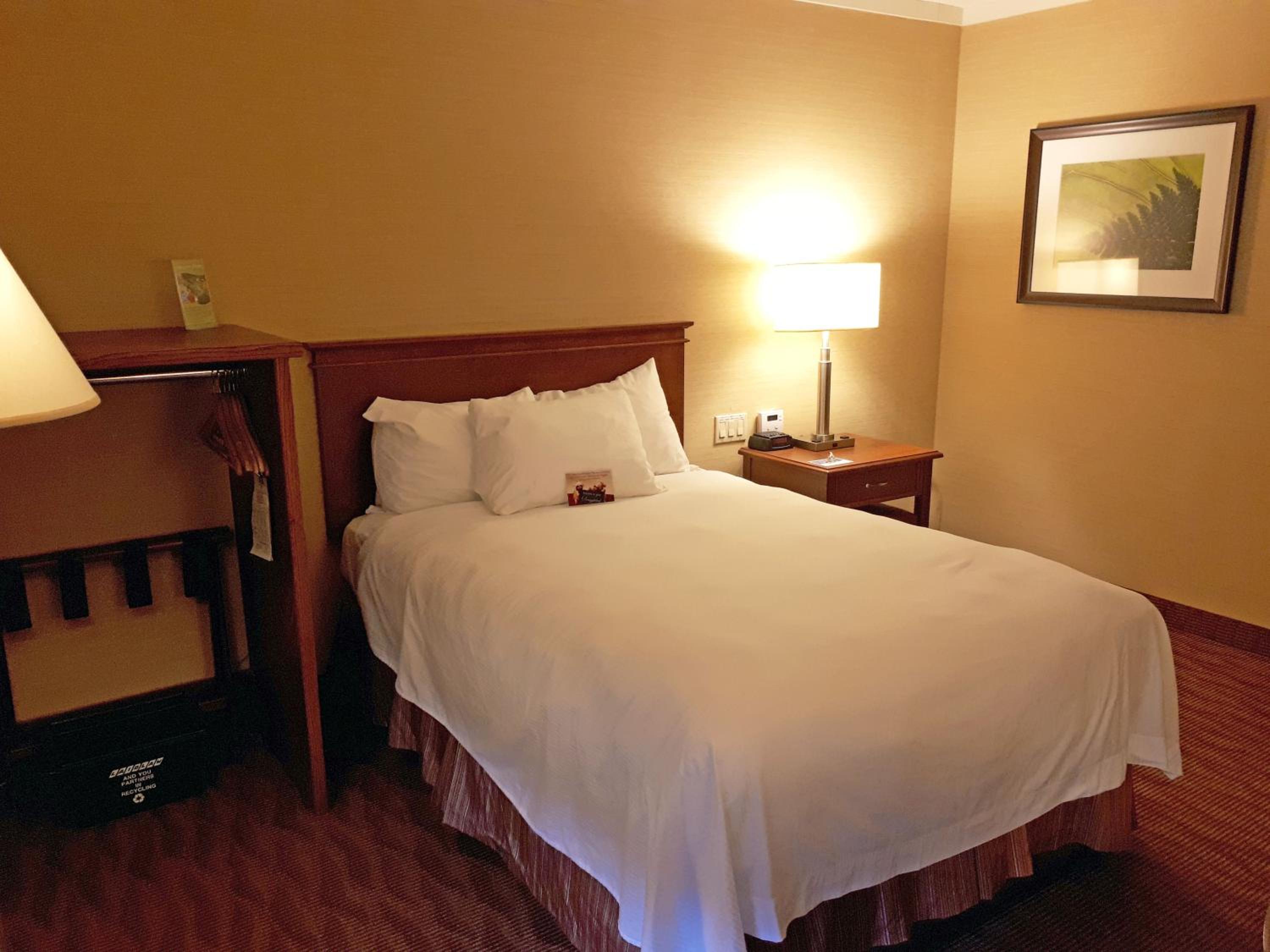 Accessible Room - 1 Double Bed